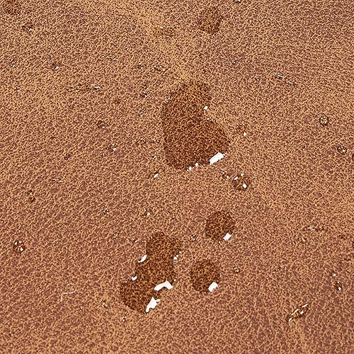 Miniatura 36 de Topeakmart Silla de club contemporánea para sala de estar, silla de barril con silla otomana y reposapiés, juego para dormitorio, sala de espera,