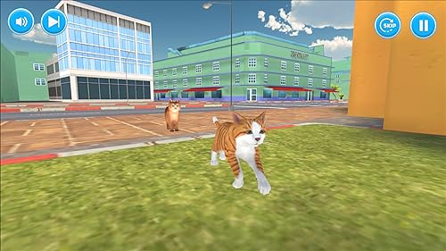 A minha aventura virtual de gato fofo, jogo divertido em 3D: Simulador de vida de gatinho animal de
