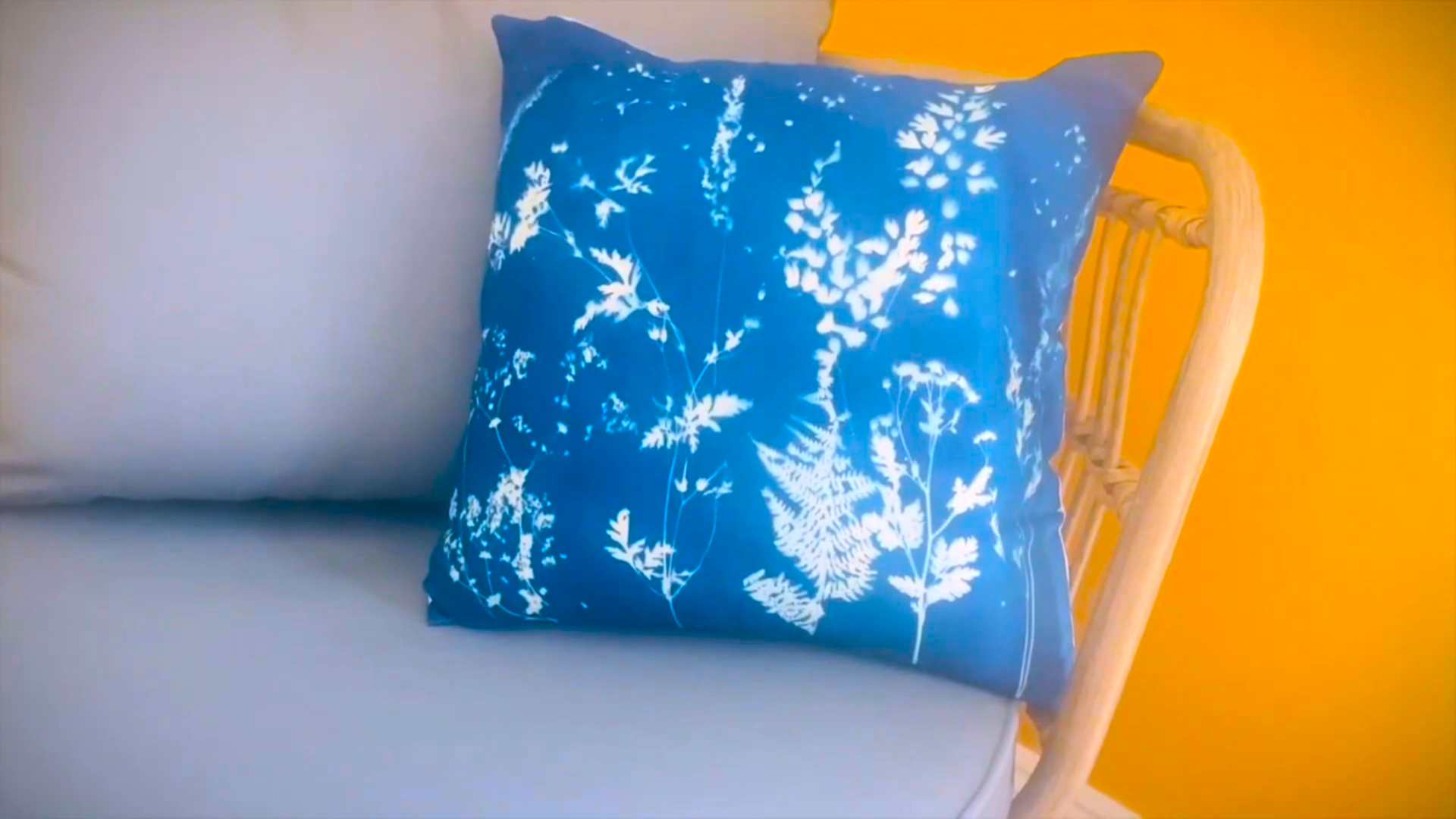 Amazon.com: Jacquard Cyanotype Sensitizer Set