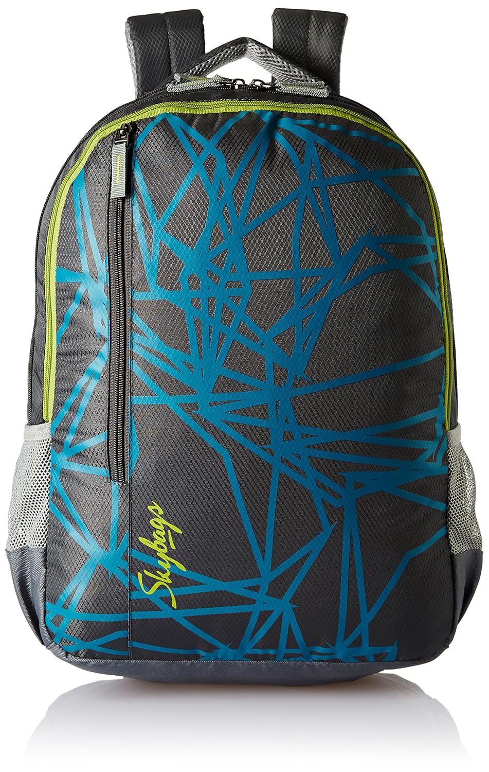 Buy Skybags Footloose Colt 30 Ltrs Grey Casual Backpack (BPFCOE1EGRY