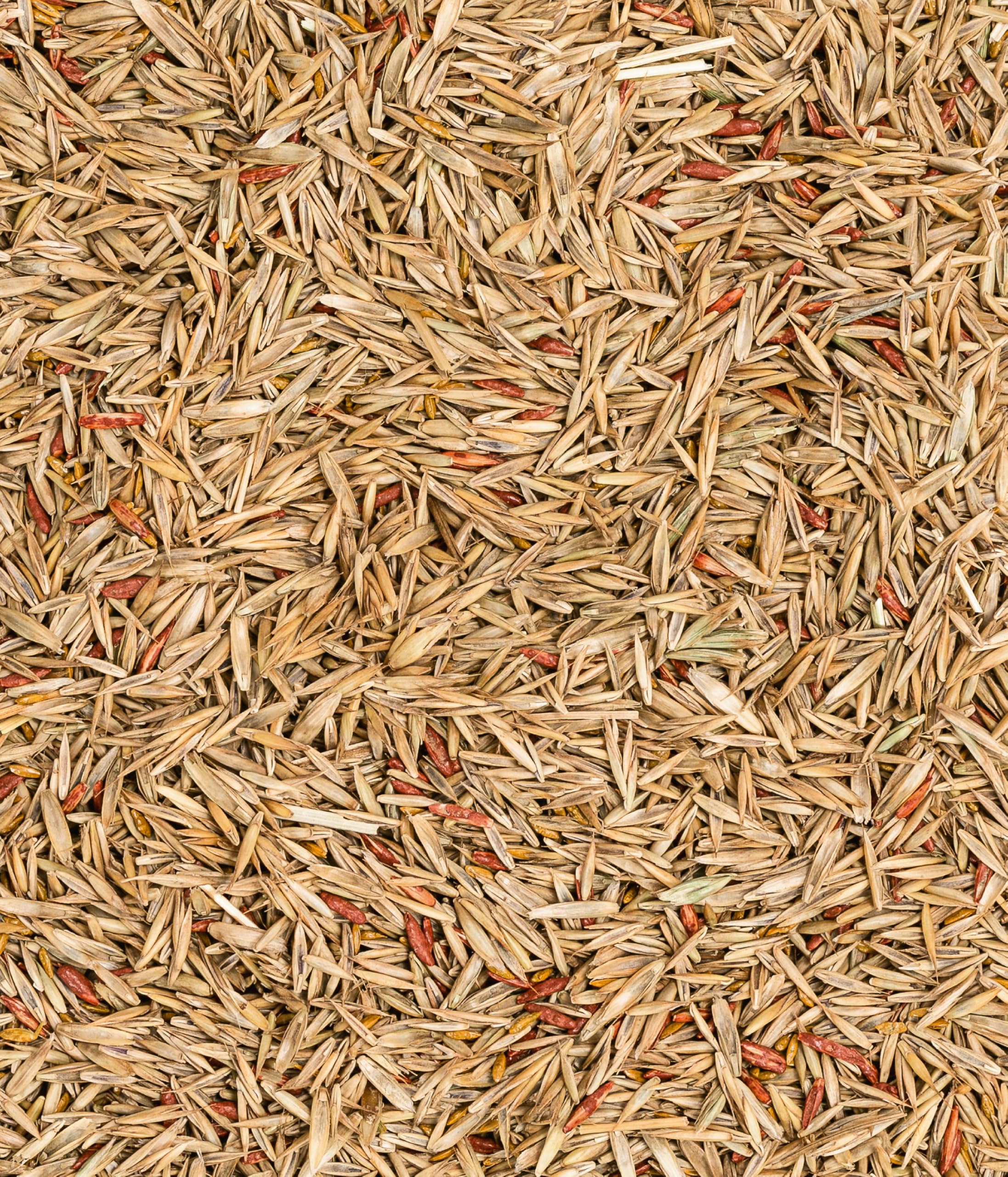 Dehner 5802442 materiał siewny trawnika, naturalny