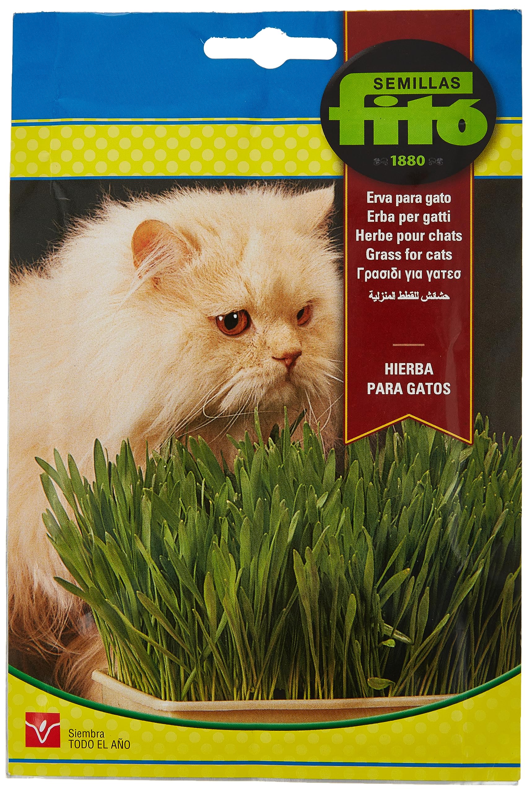 Fito Cat Grass