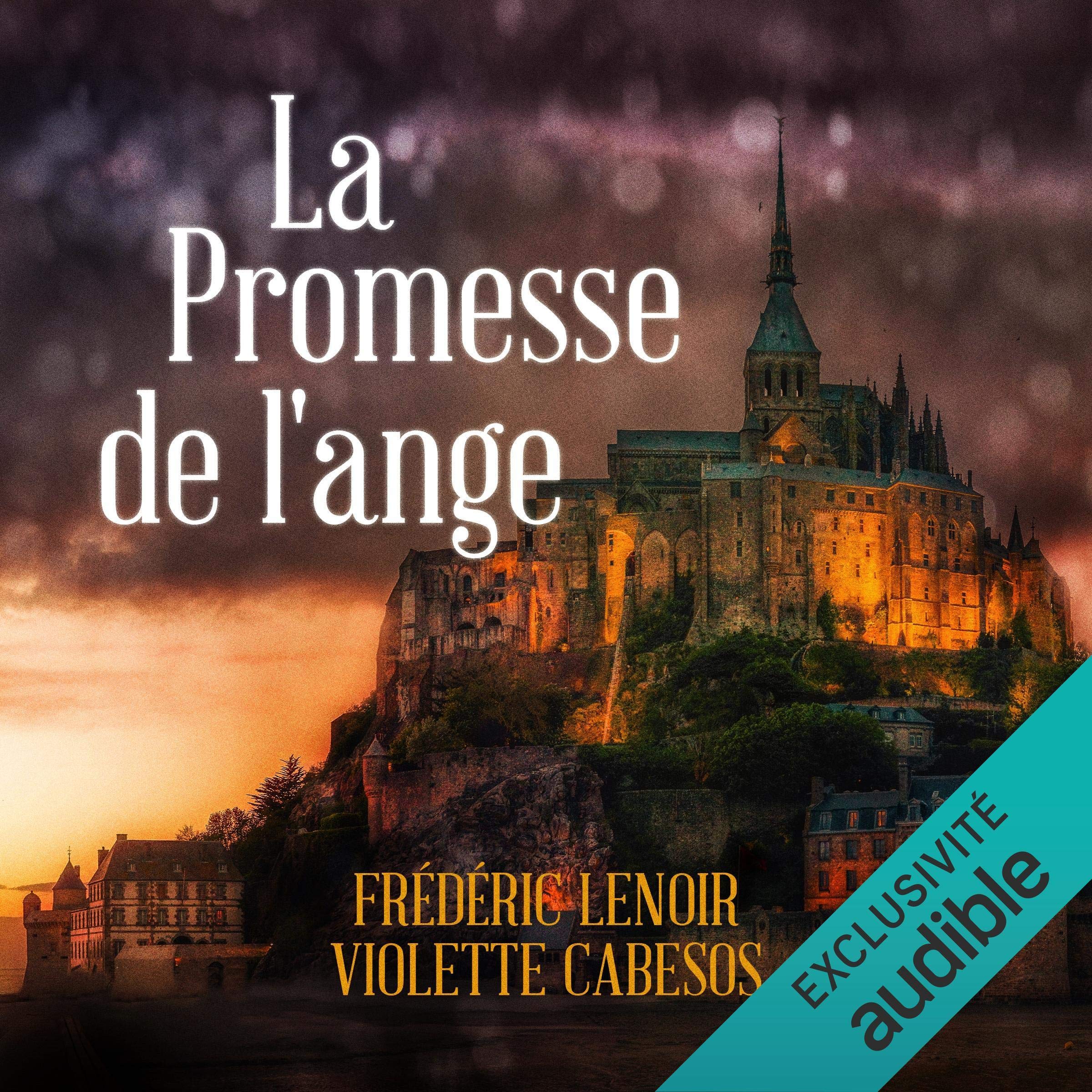 Cover art for La Promesse de l'ange