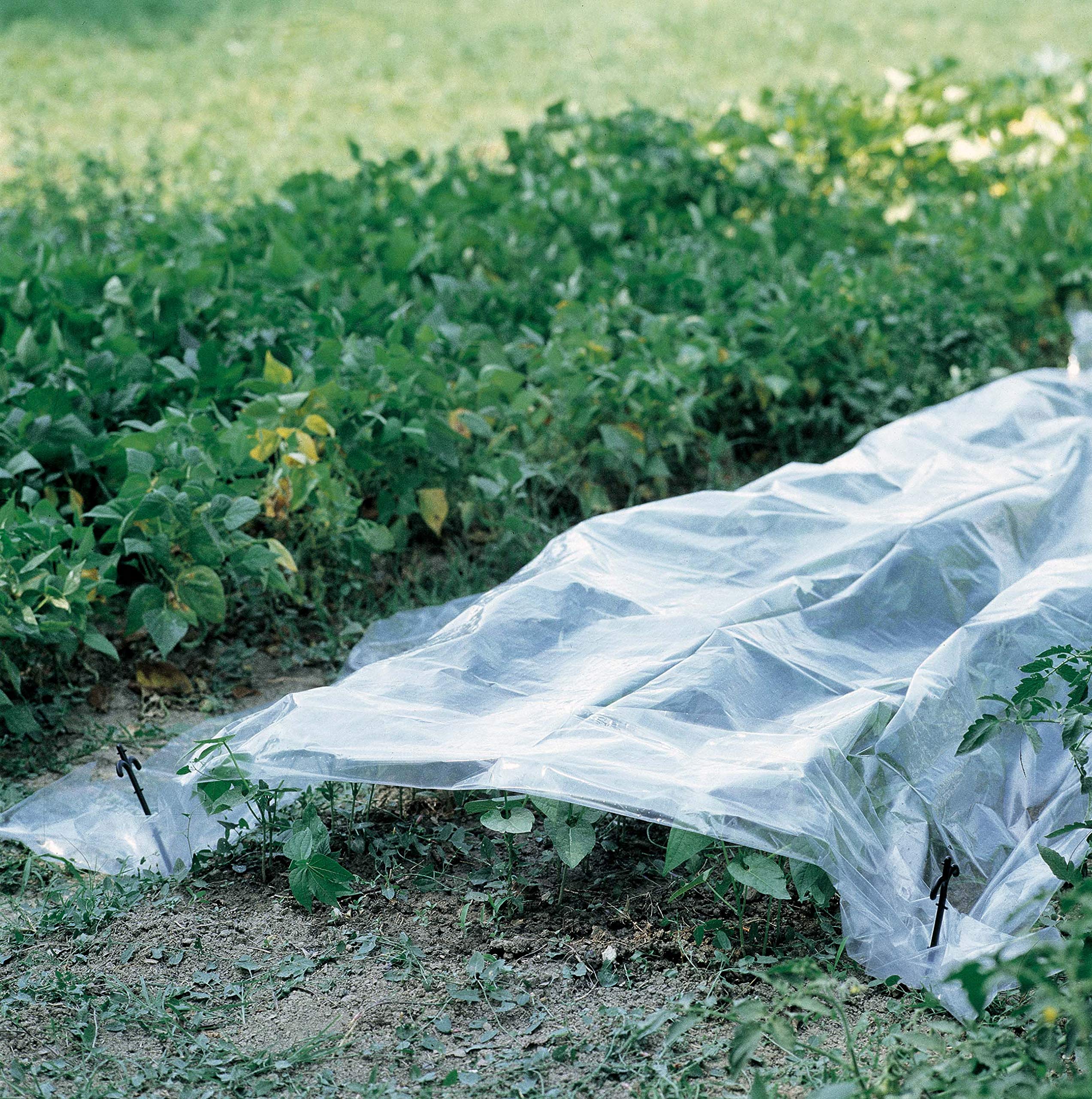 Telo Copertura Serra Trasparente CoolMax 6 Mil - Resistente Ai Raggi UV, 4 Anni Di Garanzia - Foto 3