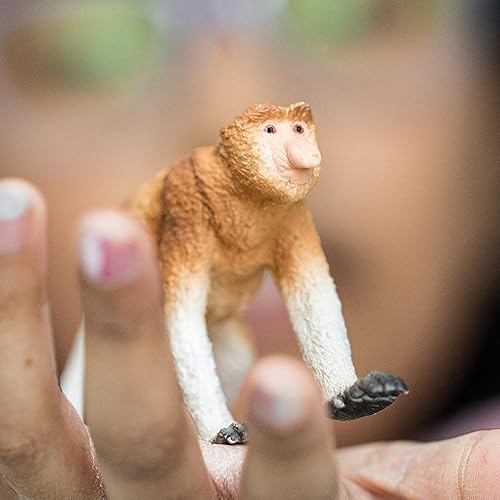 Miniatura 3 de Schleich Wild Life - Figura realista de mono Proboscis – Auténtico y altamente detallado juguete de animales salvajes, duradero para la educación y