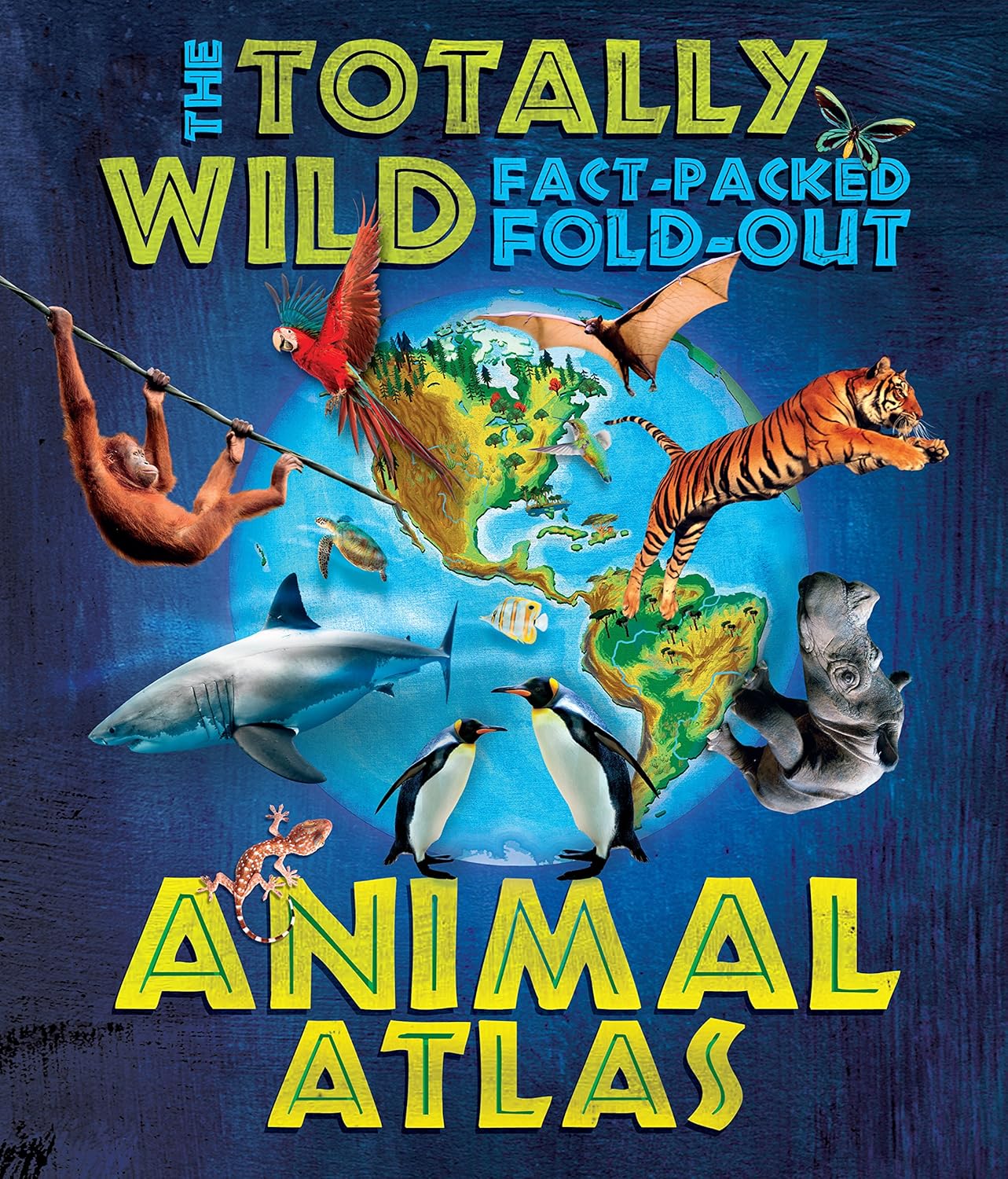 The Totally Wild Factpacked, Foldout Animal Atlas Amazon.co.uk