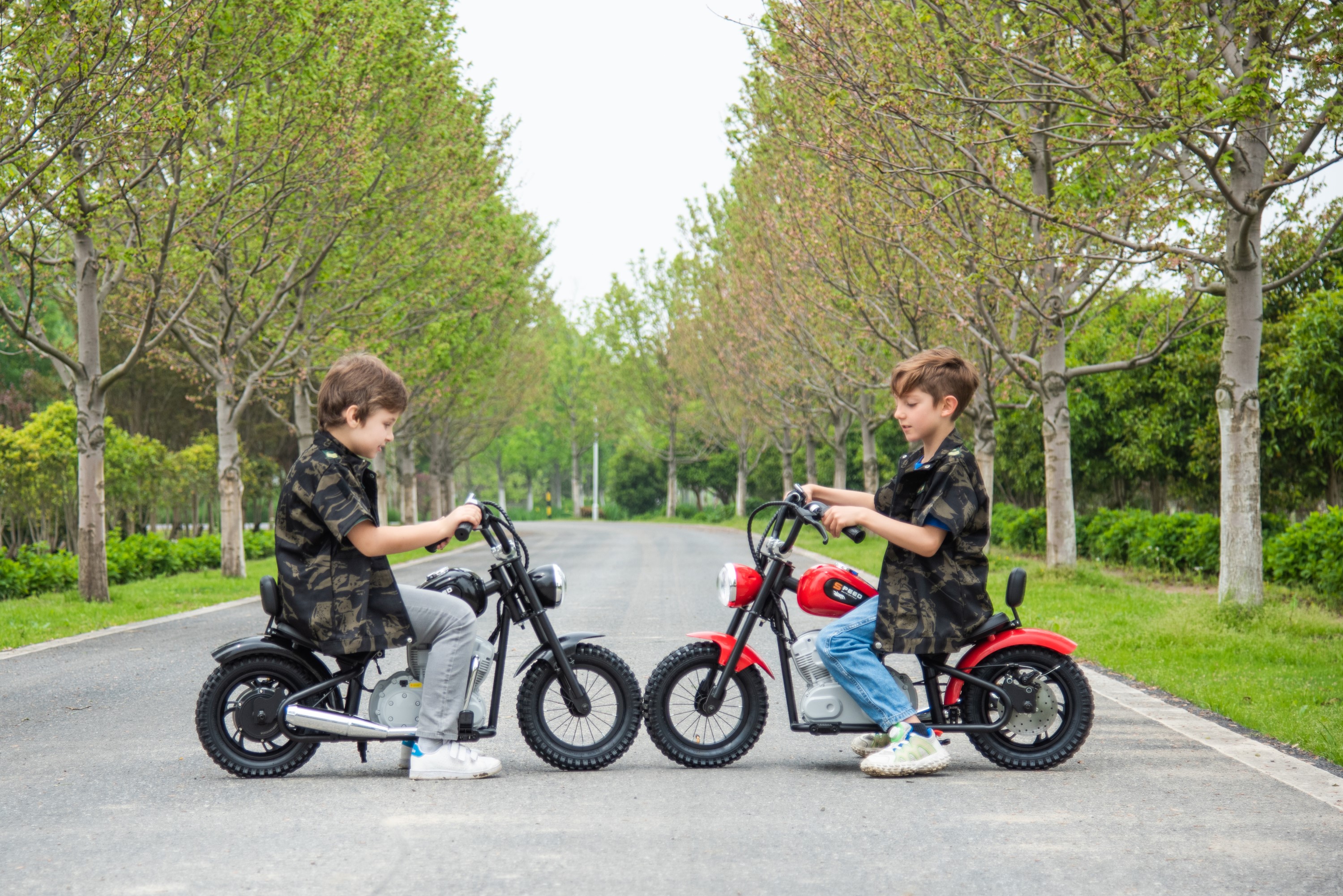 Amazon.com: 36V Freddo e-Chopper for Teens - 25KM/H Speed