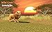 Wild Lion Simulator 3D