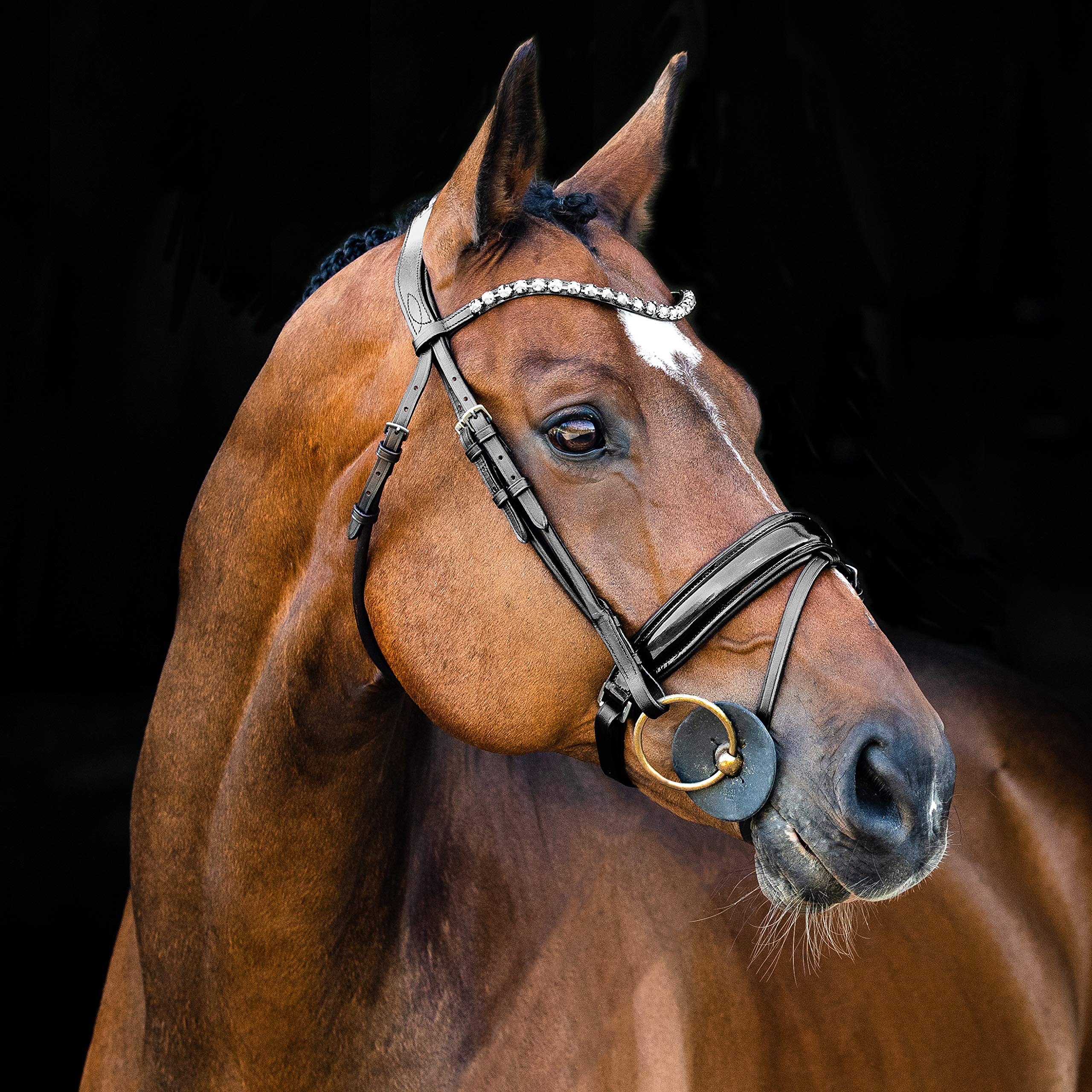 Horze Clermont Brida anatómica, Negro, XF