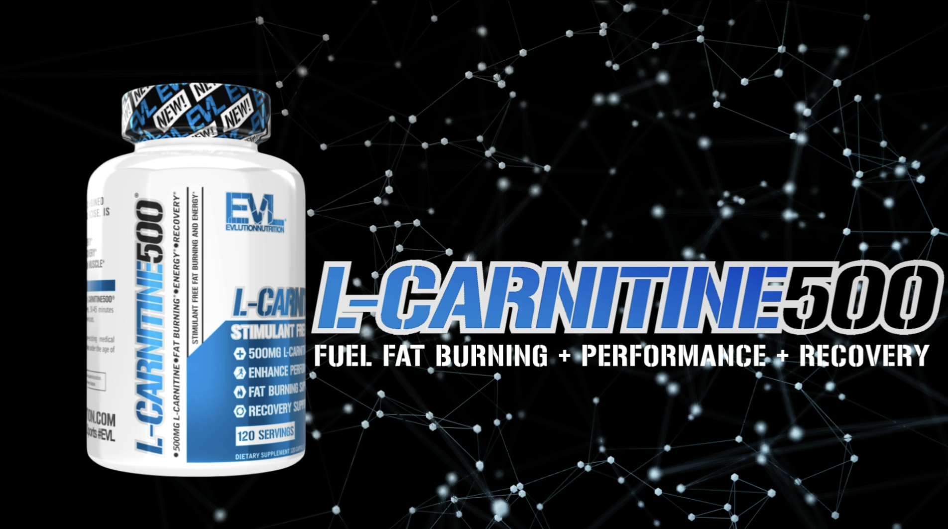 Amazon.com: EVL L-Carnitine Supplement for Weight Loss Support - L Carnitine  Tartrate for Cellular Energy Focus Endurance and Fat Burning Support