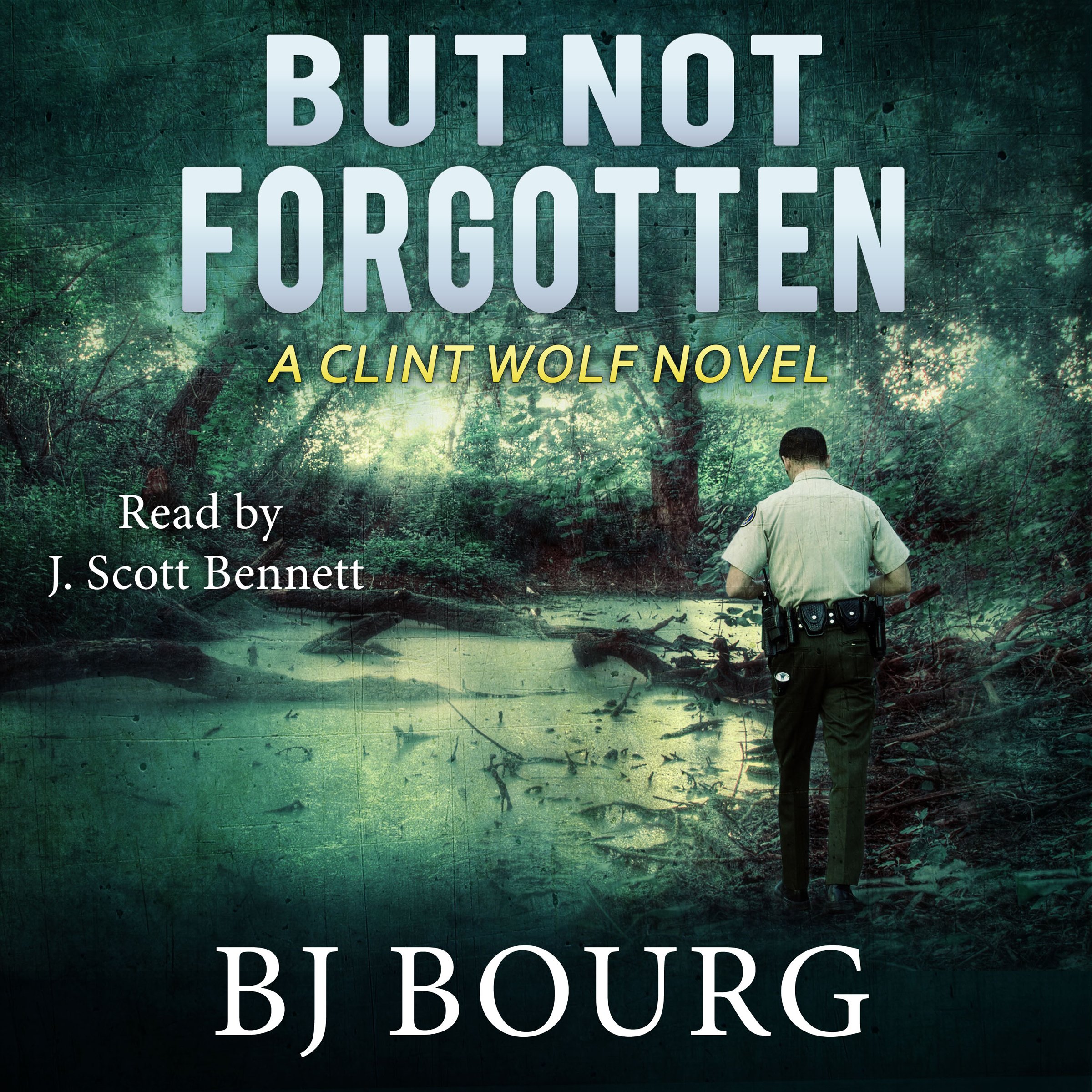 Cover art for But Not Forgotten