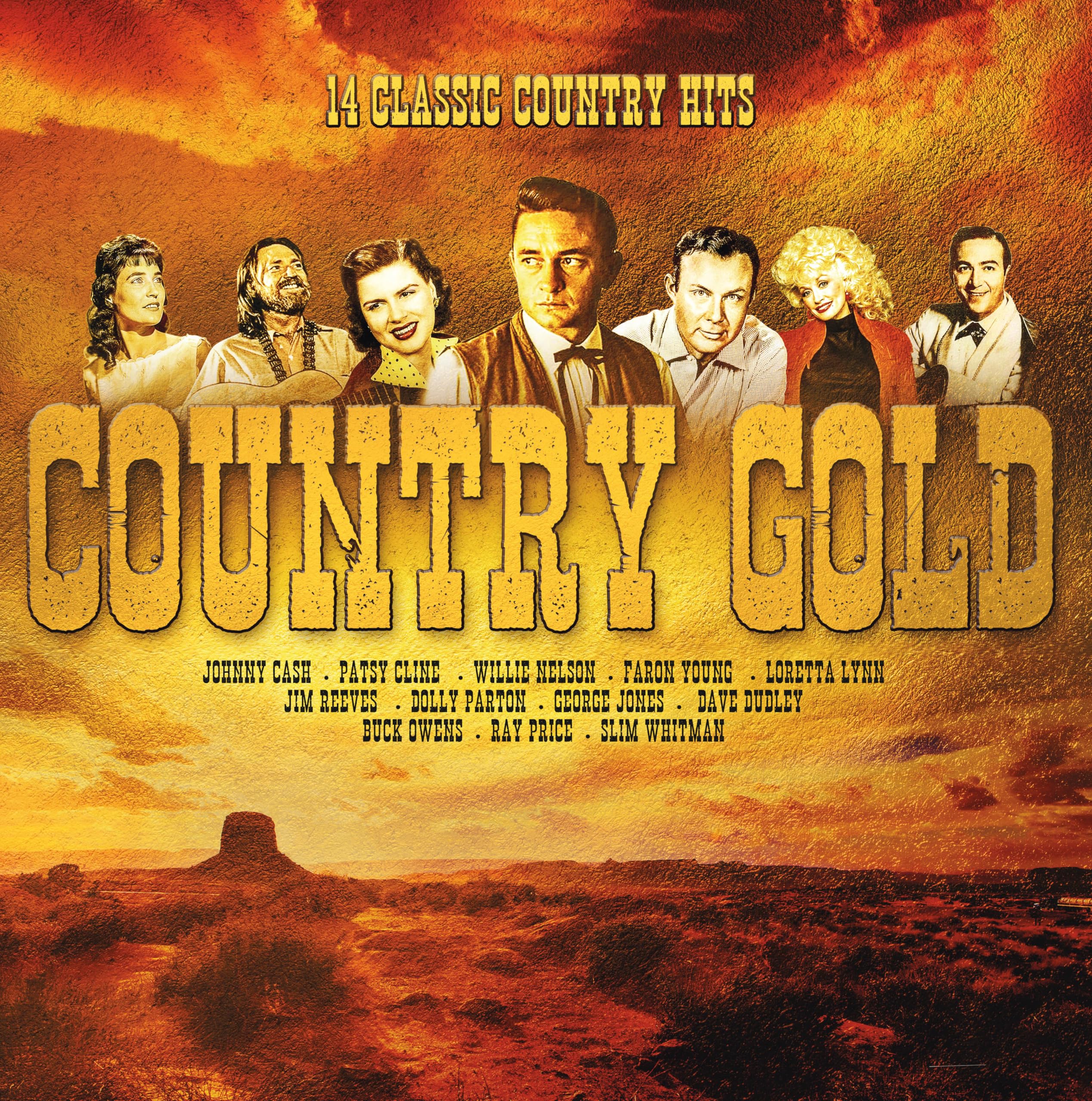 Country Gold/14 Classic Country Hits [VINYL]
