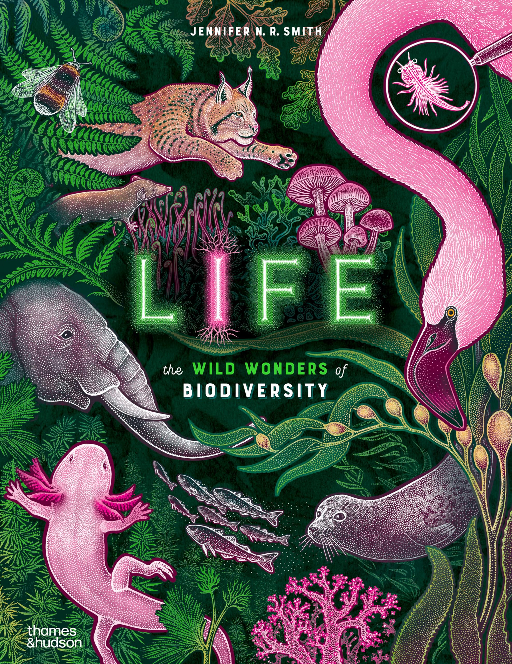 Life: The Wonders of Biodiversity