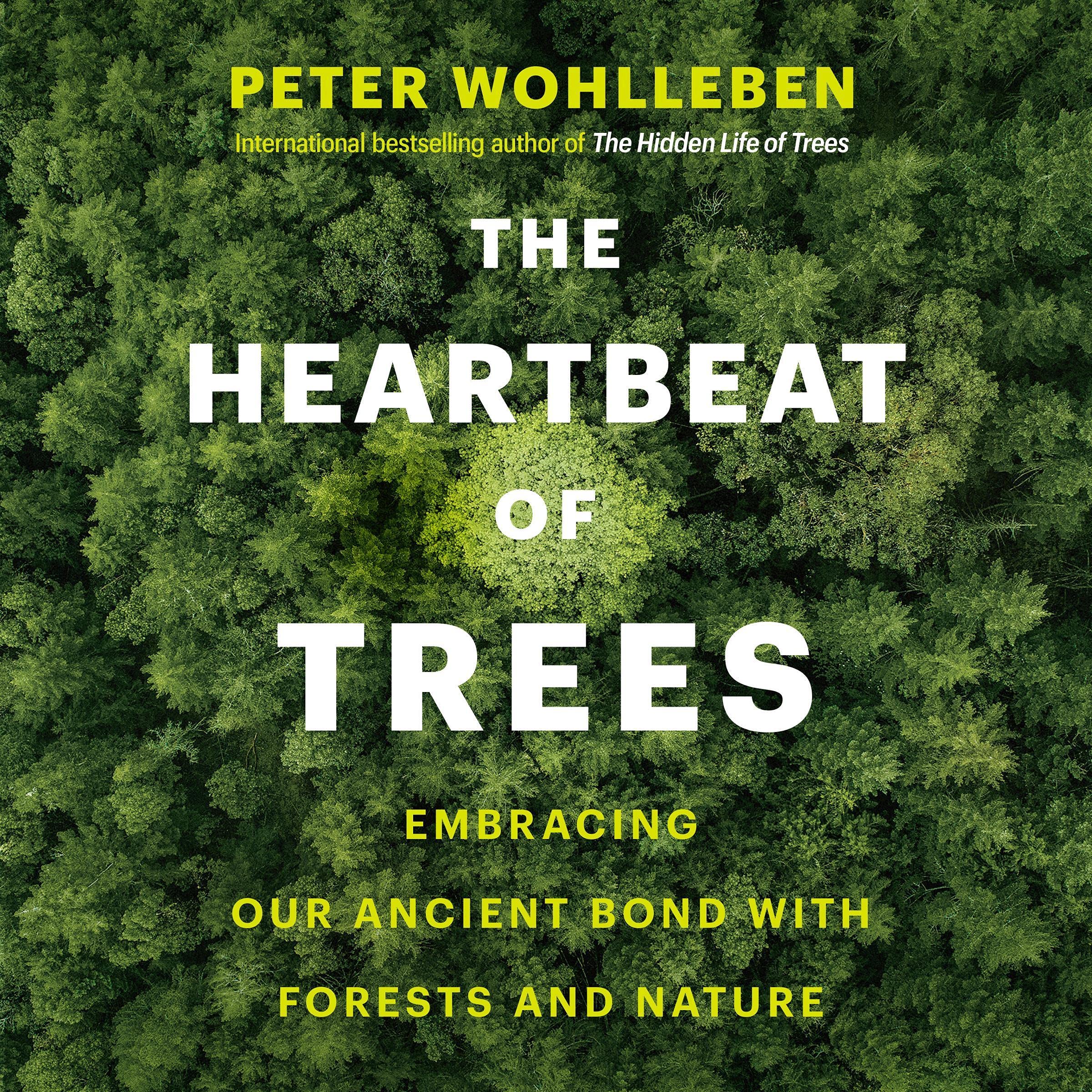 The Heartbeat of Trees: Embracing Our Ancient Bond with Forests and Nature