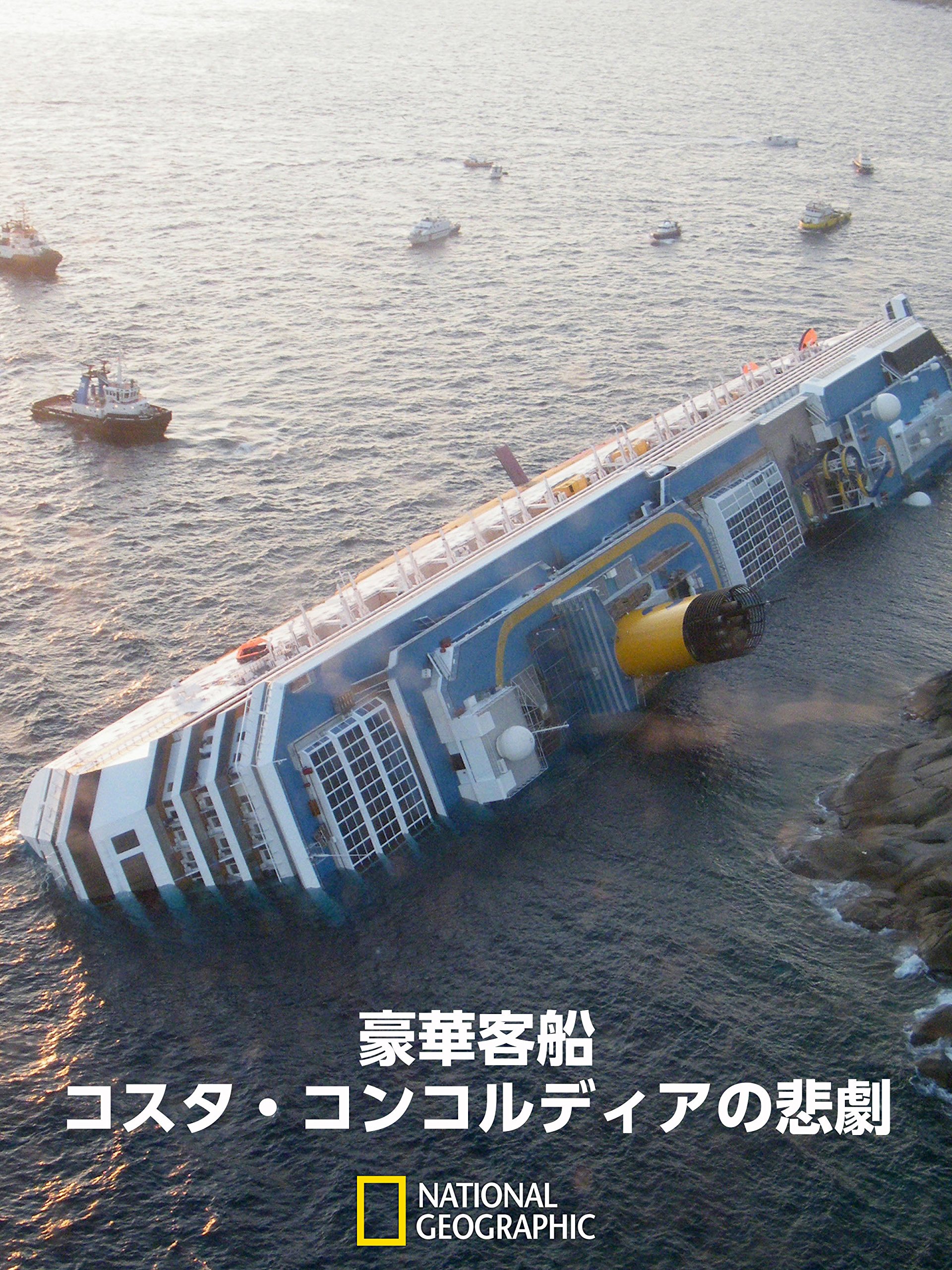 コスタクルーズ船 模型 イタリア製