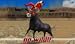 Angry Bull Simulator