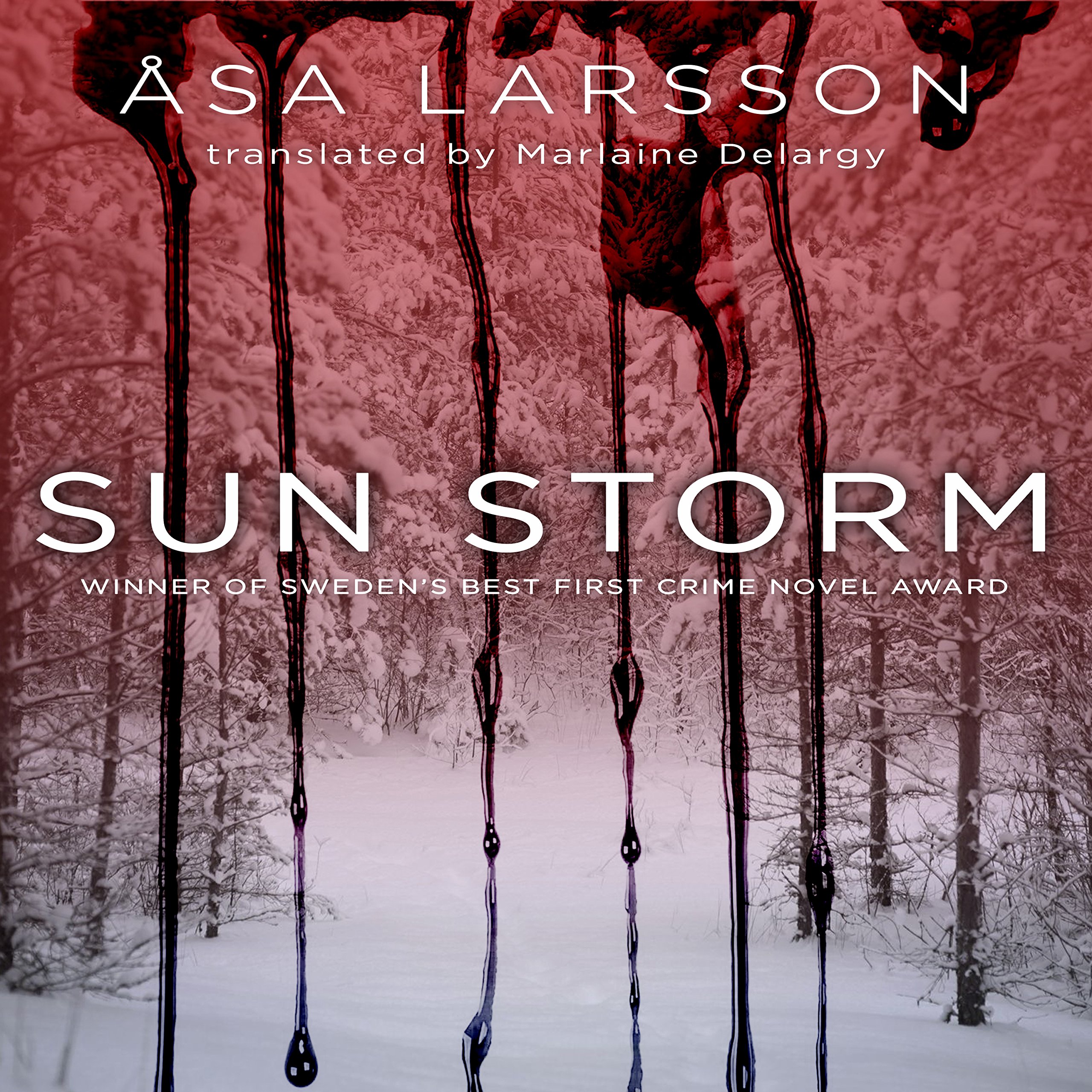 Cover art for Sun Storm