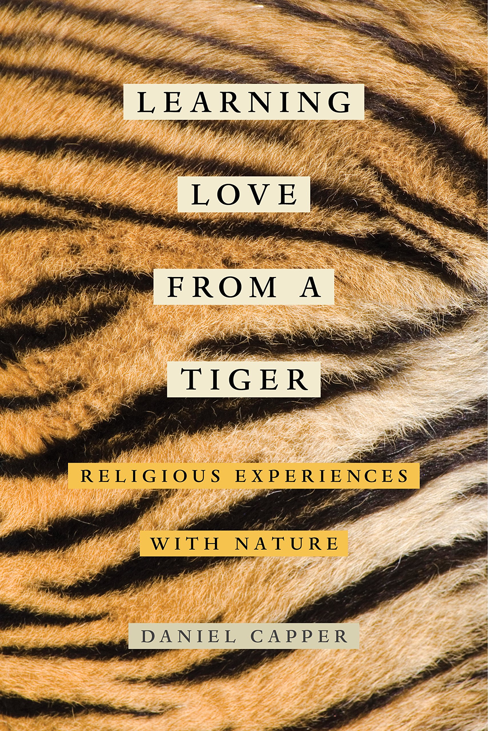Learning Love from a Tiger: Religious Experiences with Nature