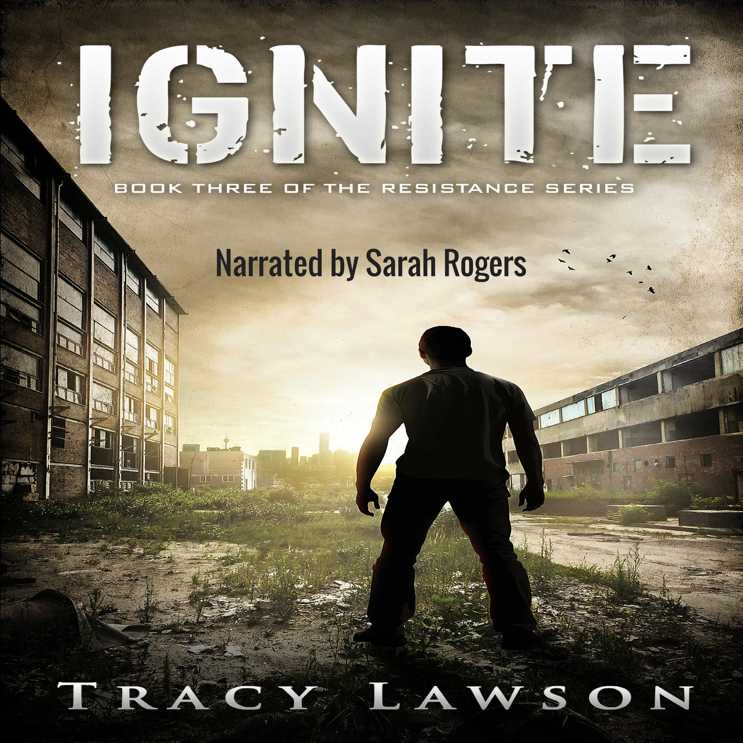 Cover art for Ignite: The Resistance Series, Book 3