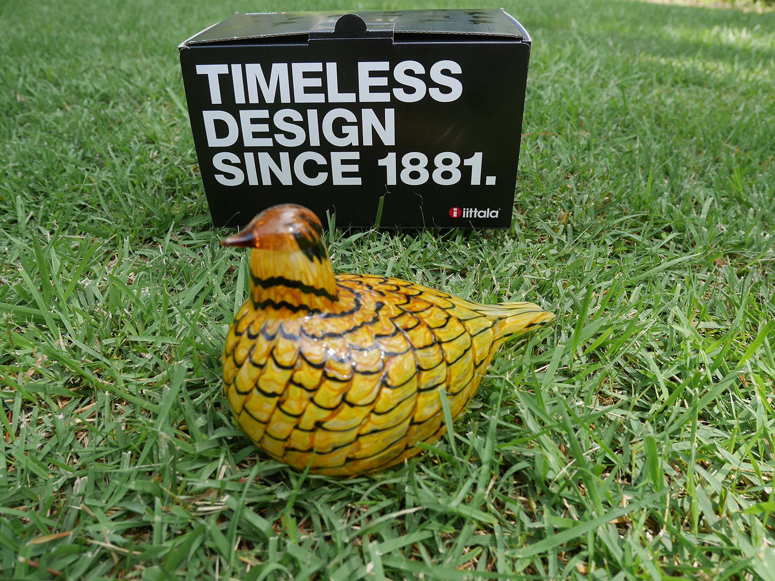Amazon.co.jp: [イッタラ] iittala バード トイッカ (BIRDS BY TOIKKA