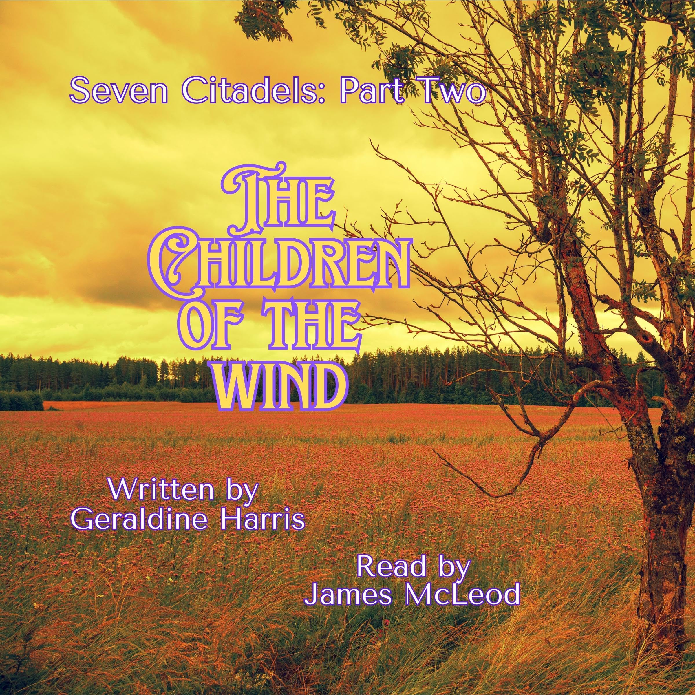 Cover art for The Children of the Wind