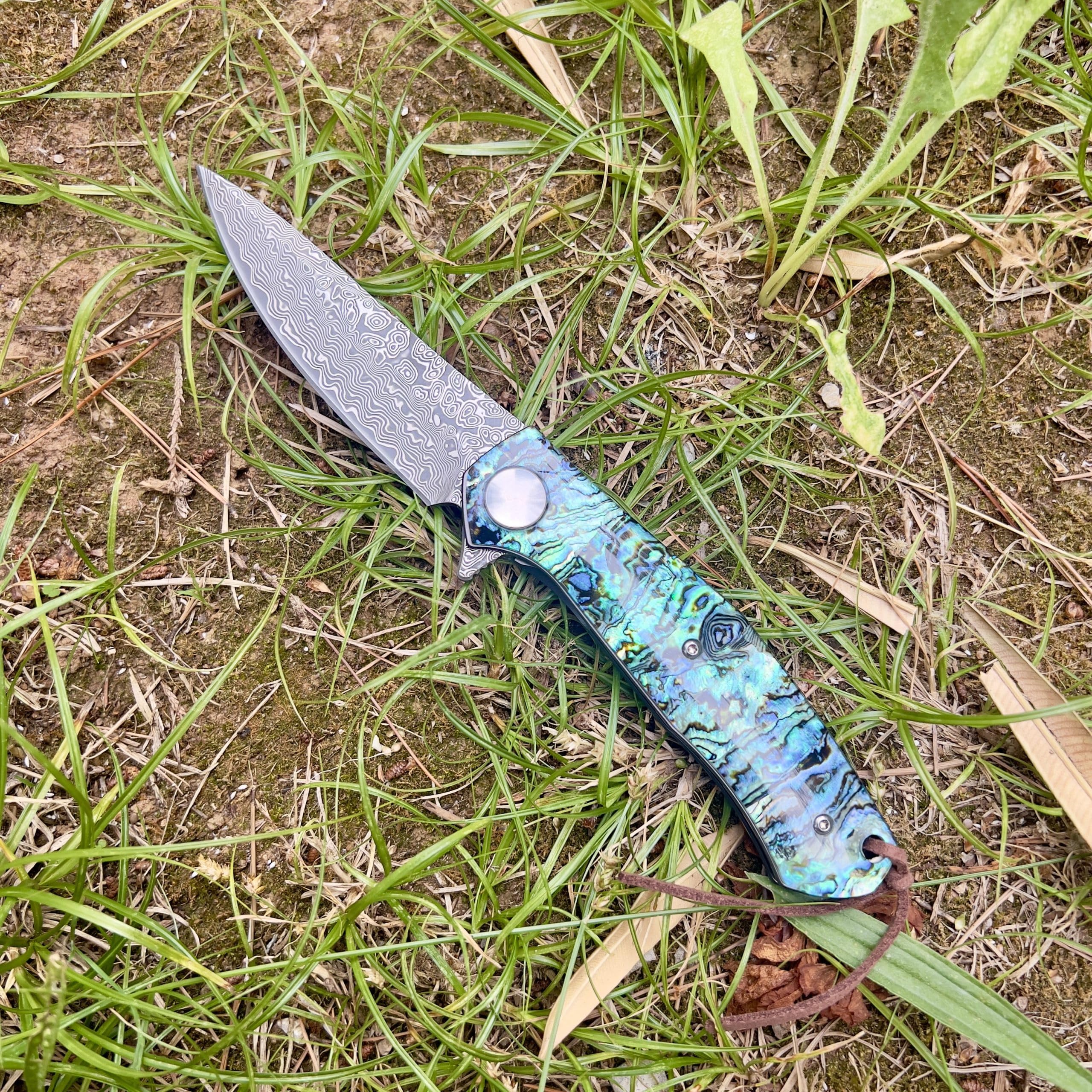 Coltello Pieghevole Tascabile di Lusso in Acciaio Damasco 67 Strati VG10 Lama Affilata Manico in Madreperla Abalone da Collezione Regalo per Uomo EDC Pesca Caccia Artigianato Custom