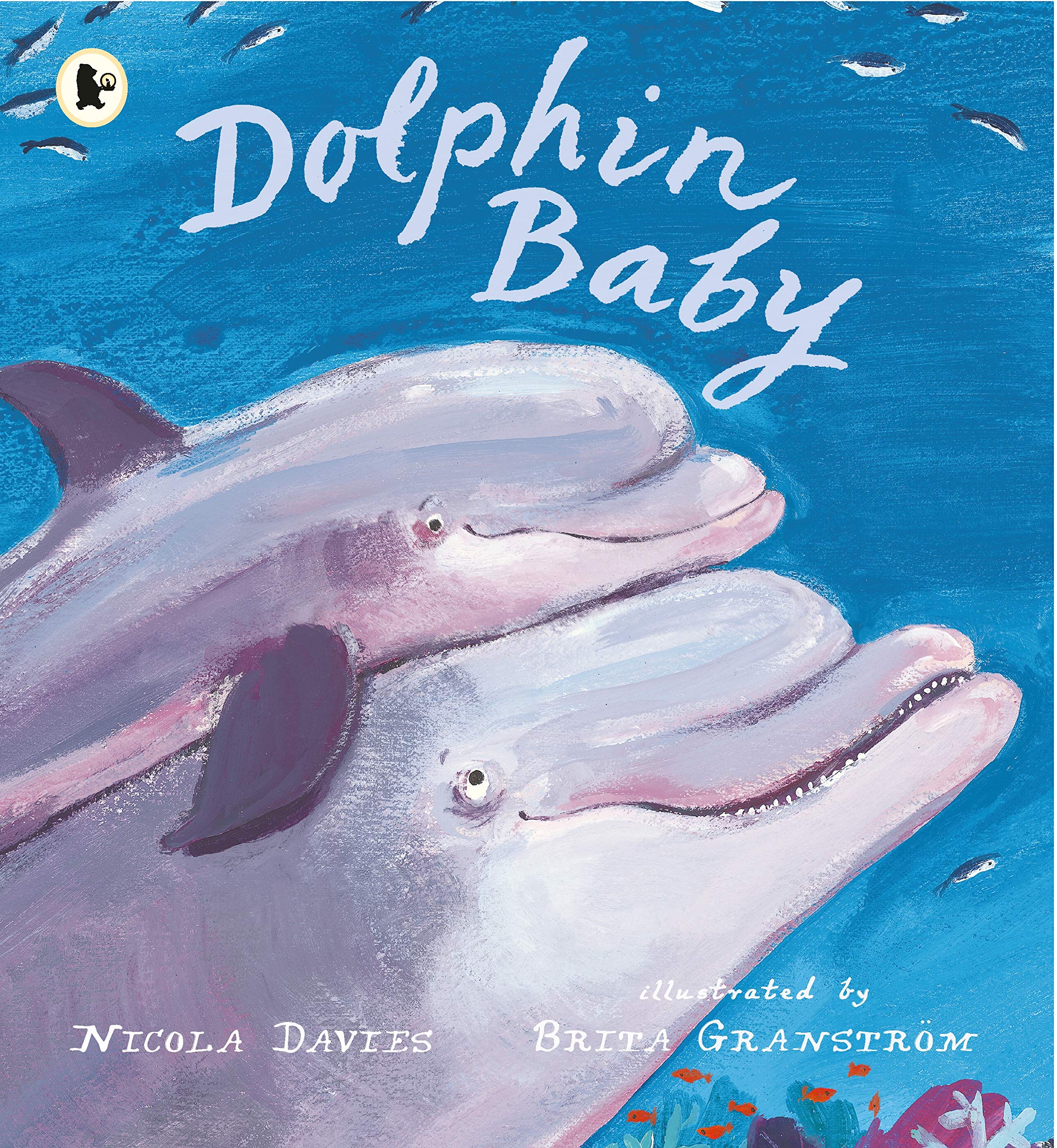 WALKER BOOKS Dolphin Baby