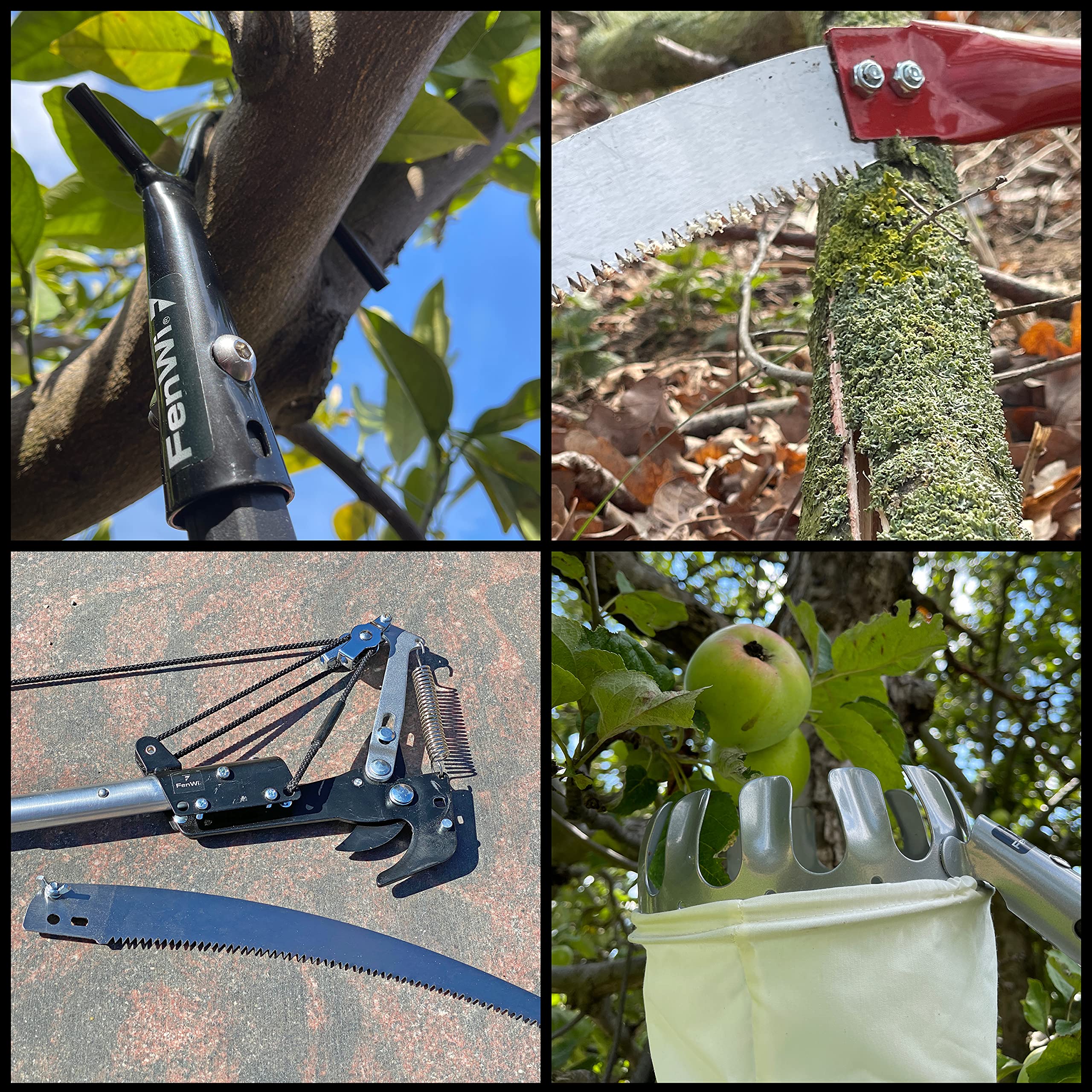 FenWi Teleskop Baumpflege Gartengeräte Set mit 6m Aluminium Teleskopstange, Astschere (Raupenschere mit Zugschnur), Astsäge, Obstpflücker und Baum-Haken - bis zu 8,50m Höhe