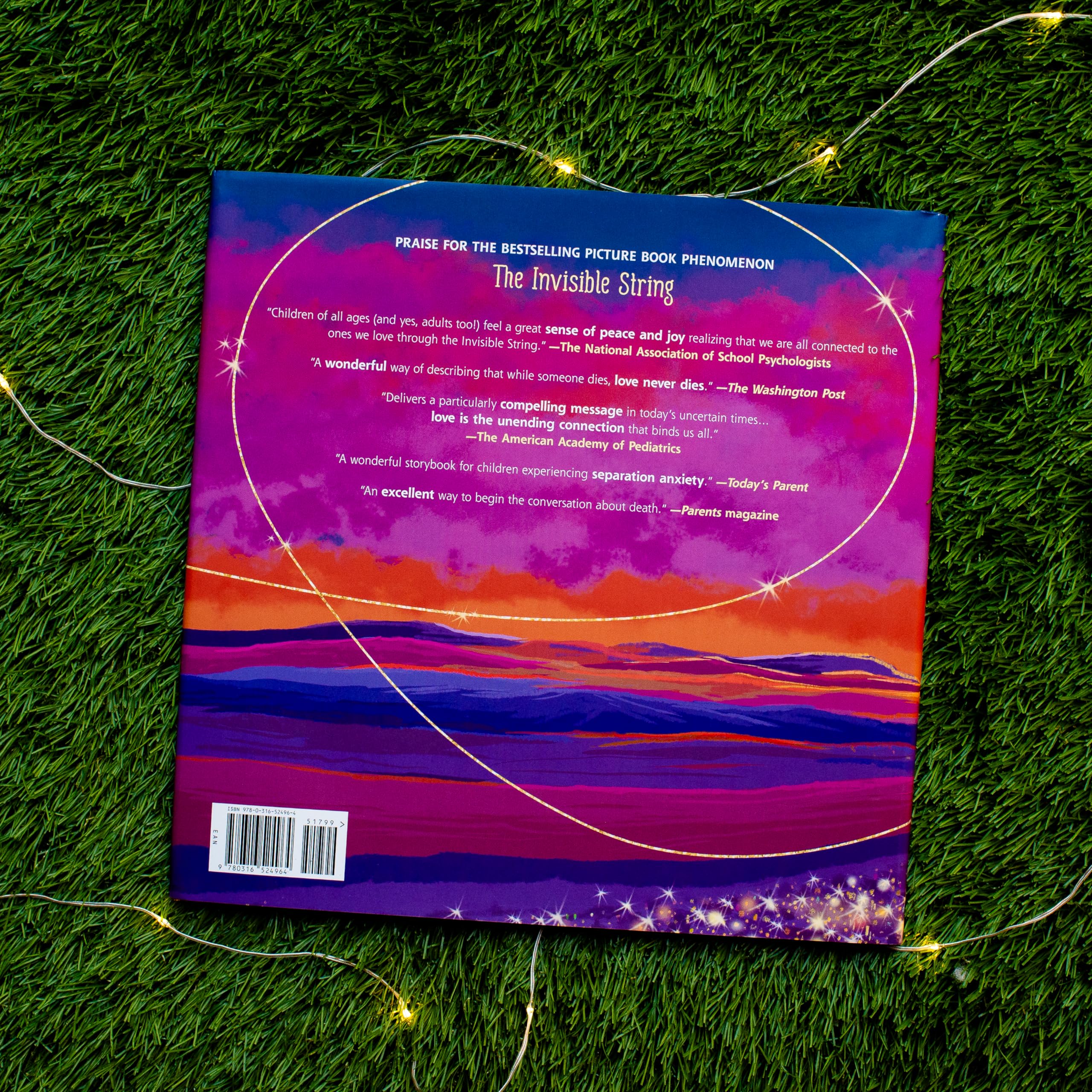 The Invisible Web: An Invisible String Story Celebrating Love and Universal Connection: 4