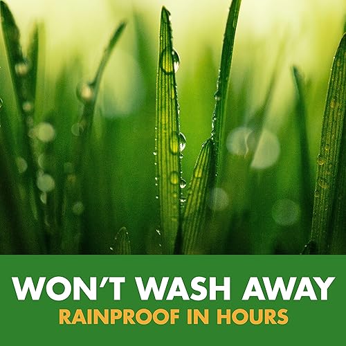 Miniatura 5 de Spectracide Weed Stop for Lawn Concentrate, mata raíces de maleza, no el césped, 40 onzas líquidas