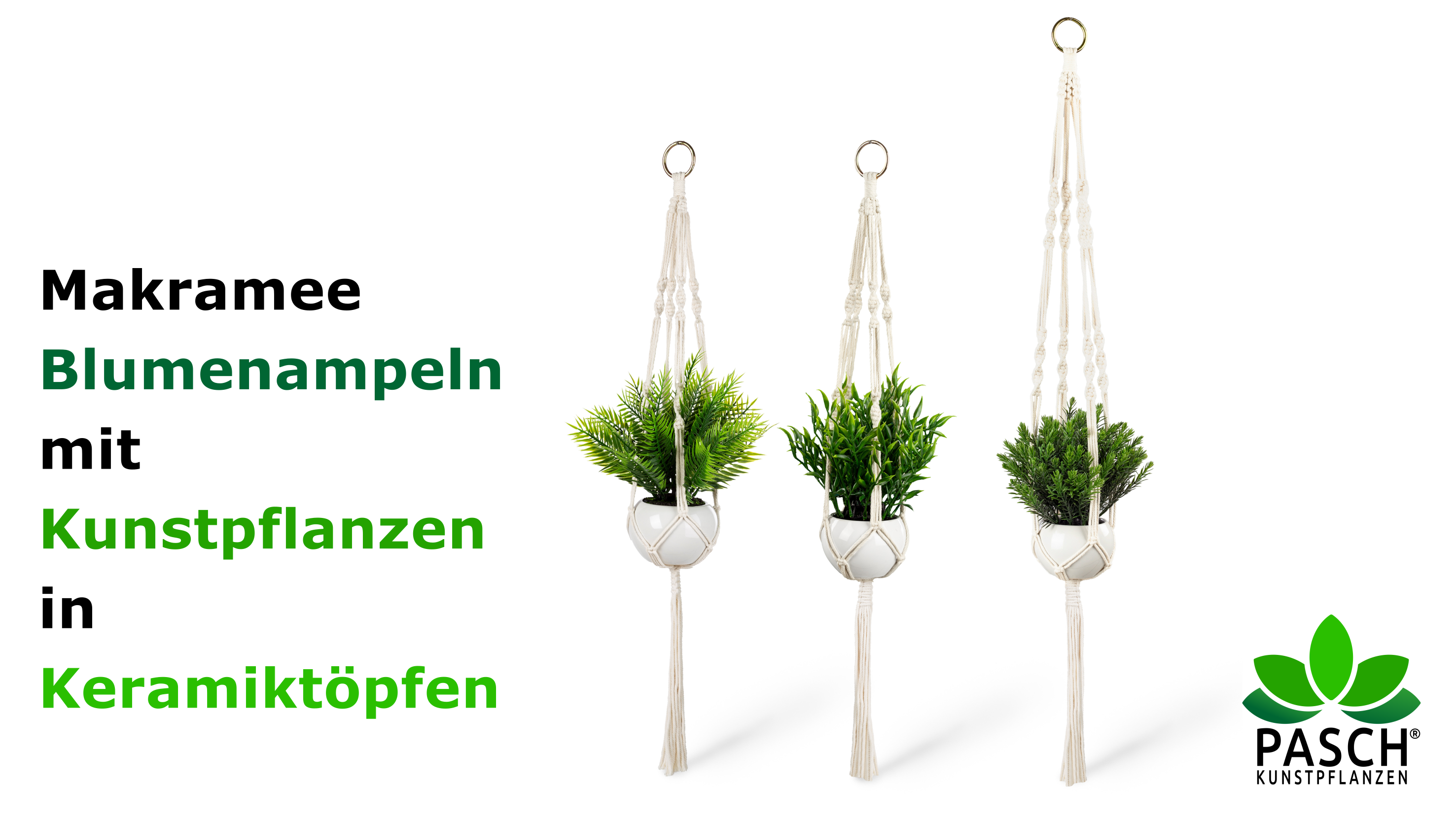 PASCH 3er Set Kunstpflanzen mit Makramee Blumenampel und weien  Keramiktpfen | Knstliche Pflanzen (23 cm) + Blumenampel Makramee  (80-100cm) | Hngepflanze knstlich | Knstliche Hngepflanzen : Amazon.de:  Kche, Haushalt & Wohnen