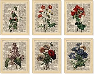 97 Decor Floral Vintage Wall Art Print - Antique Botanical Wall Art, Flower Book Wall Decor, Upcycled Dictionary Flower Poster, Wildflower Pictures for Bedroom Home Decorations (8x10 Unframed)