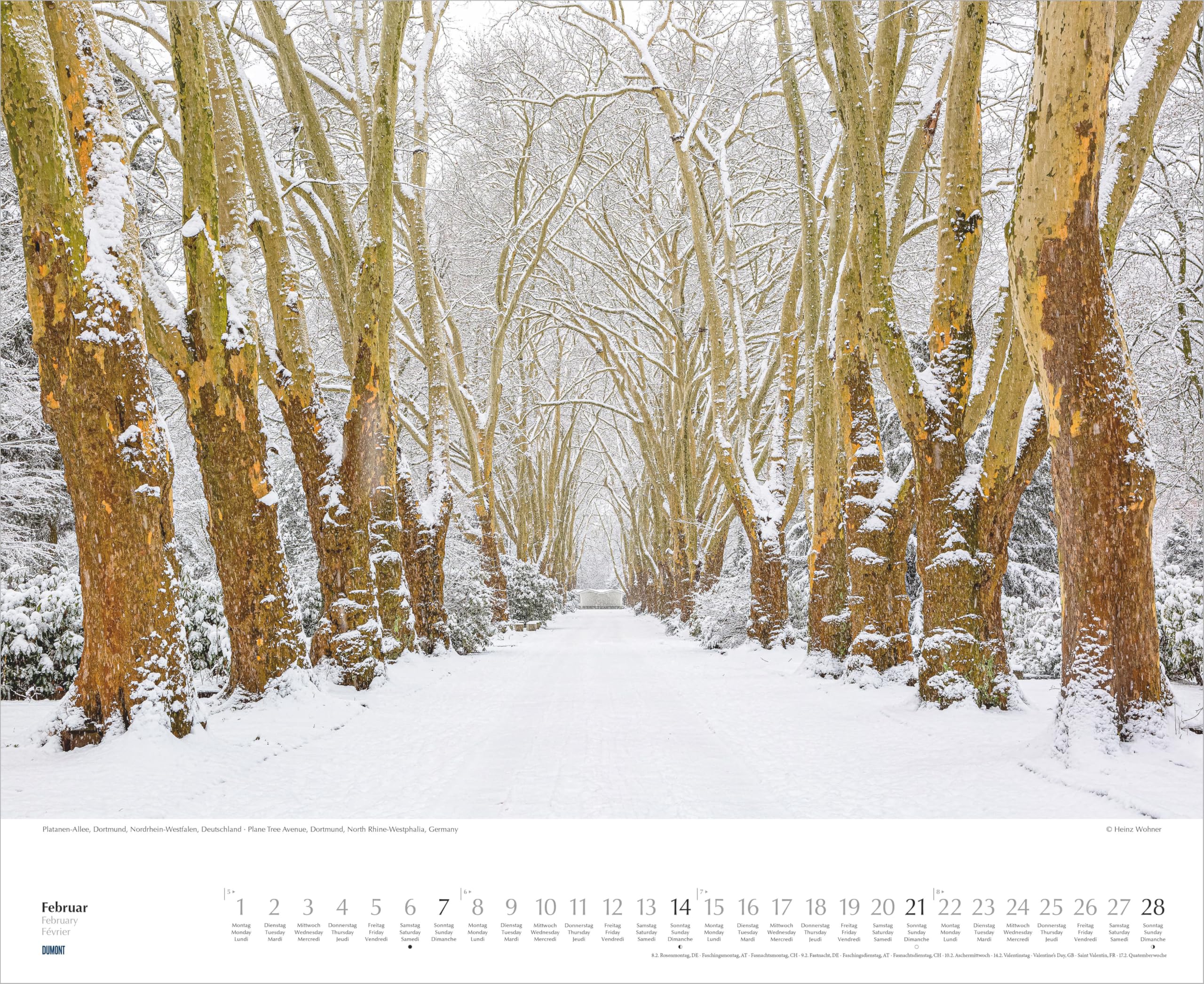 Bäume-Alleen 2027: Wandkalender 52x42,5 cm mit 12 Naturfotografien und 3-sprachigem Kalendarium