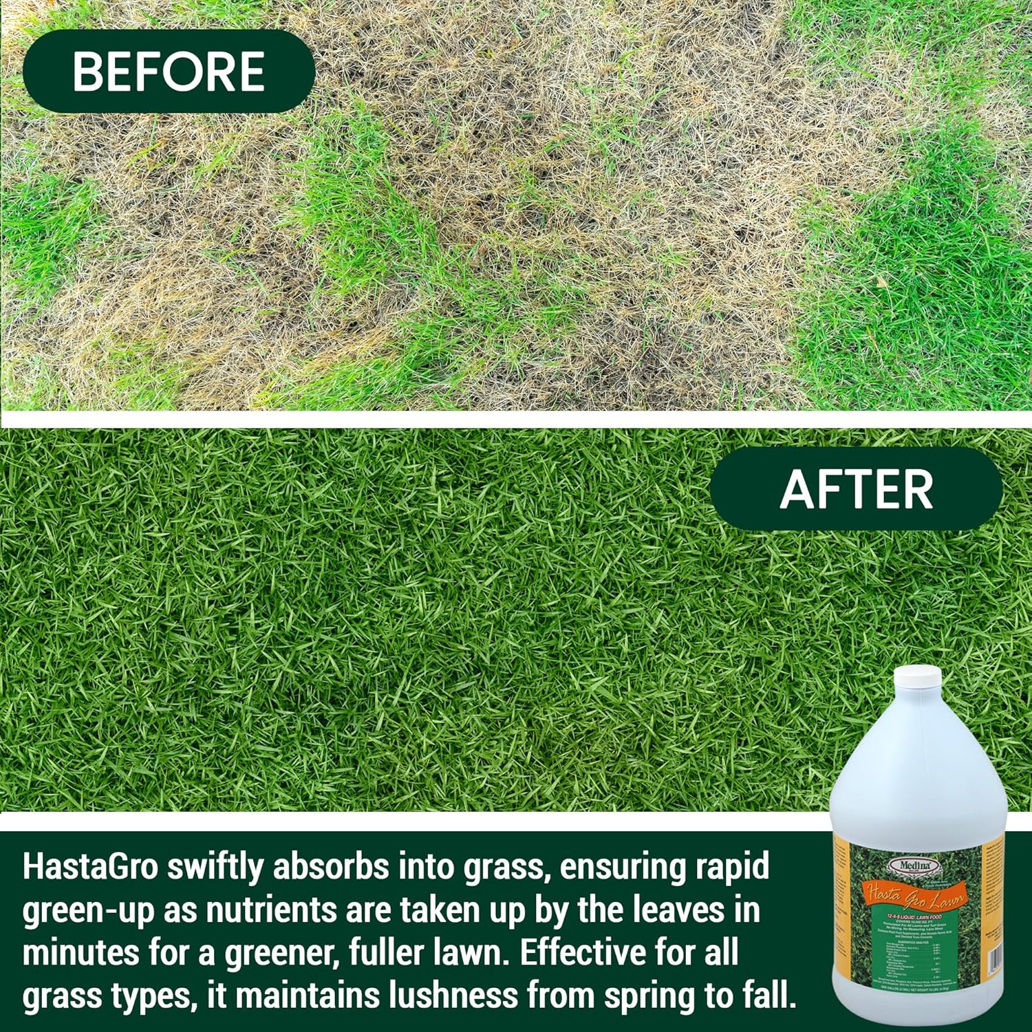 Medina HastaGro Liquid Lawn Fertilizer - 12-4-8 Liquid Fertilizer for Lawns, Ready to Spray Grass Fertilizer for Lawn Care, Lawn Food for Vibrant Green Lawns, 1 Gallon - Treats Up to 16000 Sq Ft