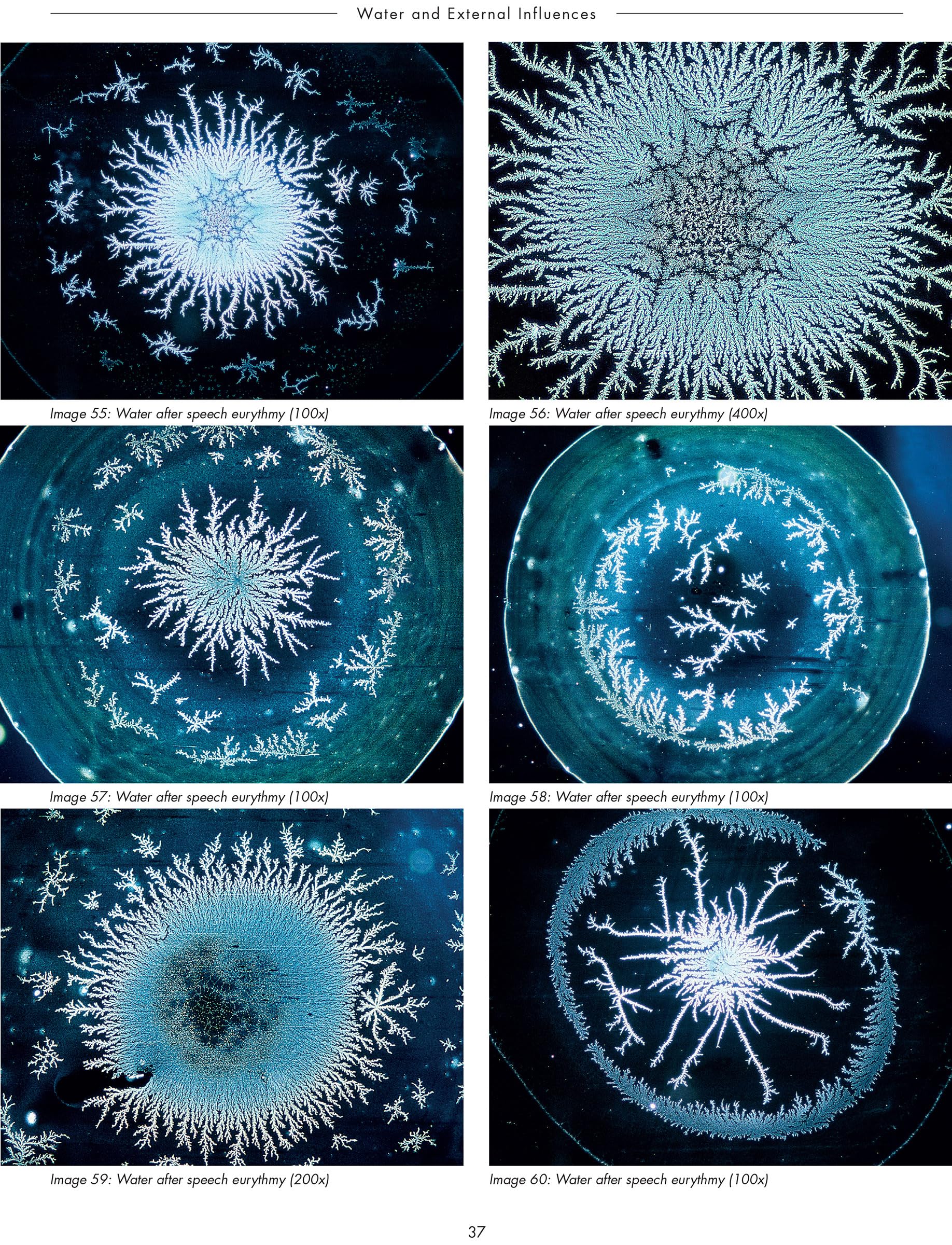The Silent Language of Life: Research into Formative Forces in Water Drops