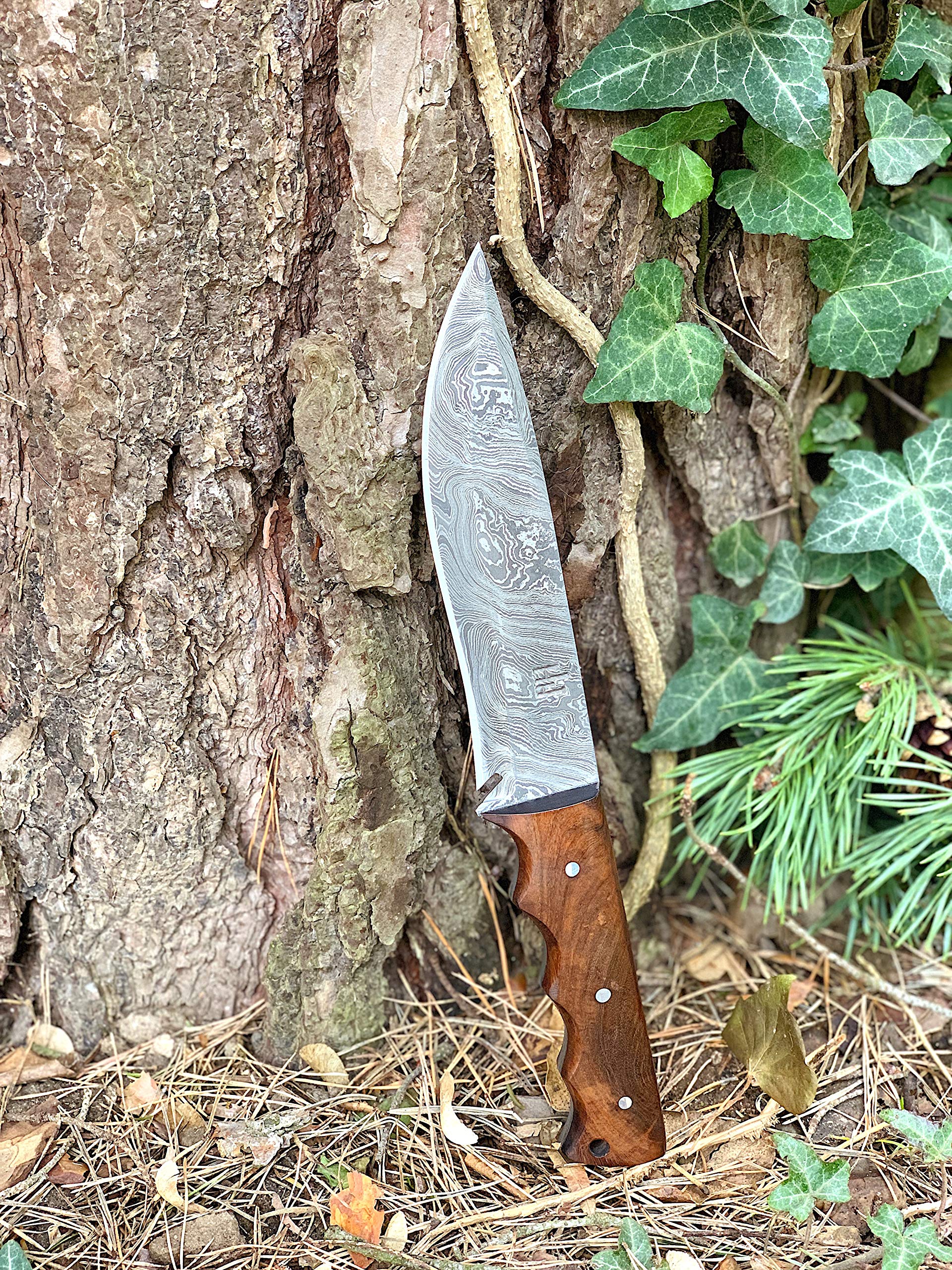Hobby Hut HH-401, 11,5 Pollici Bushcraft Coltello in Acciaio Damasco | Coltello da Caccia, Manico in Legno di Noce | Fodero in Pelle | Lama affilata del Rasoio all'aperto