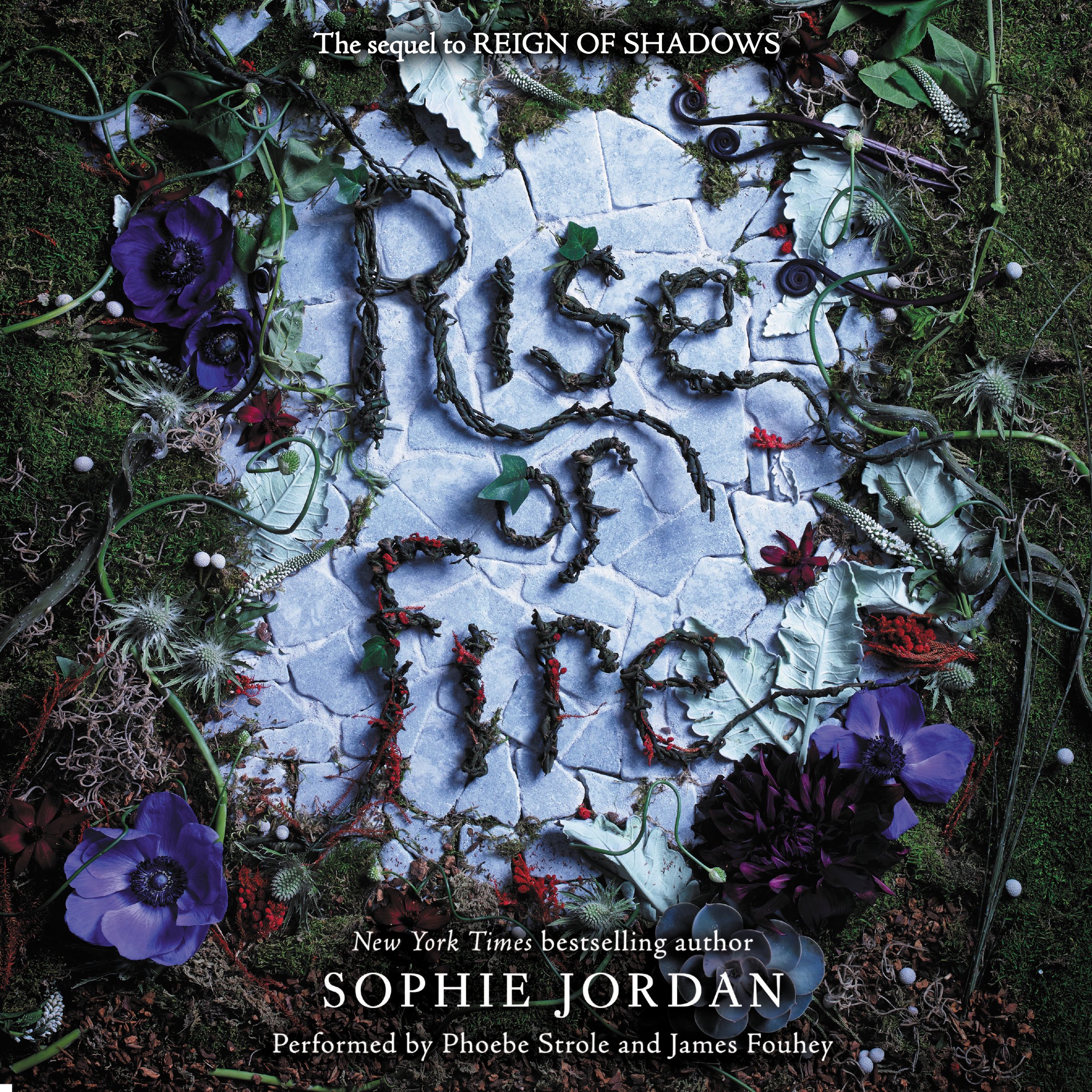 Cover art for Rise of Fire