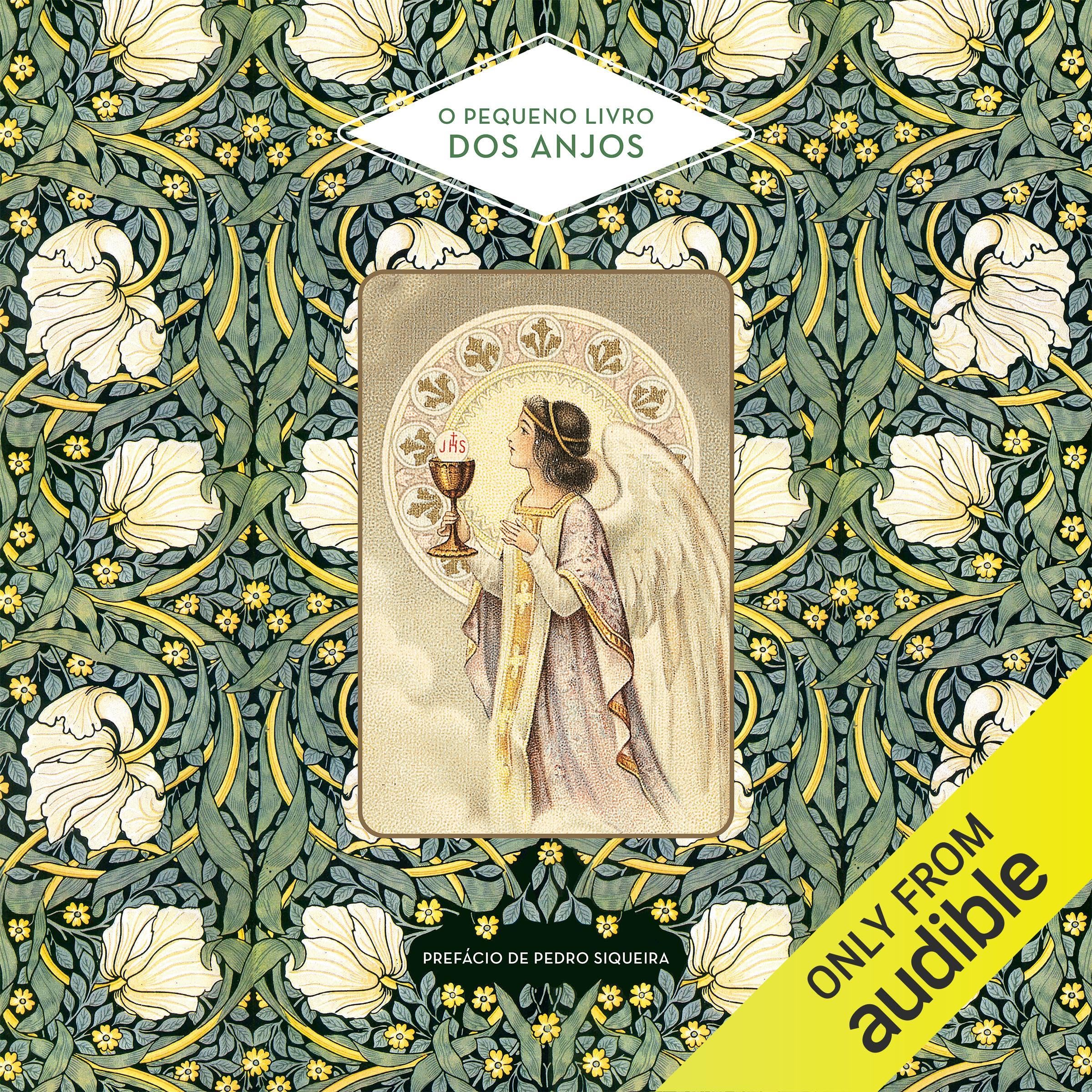 O pequeno livro dos anjos