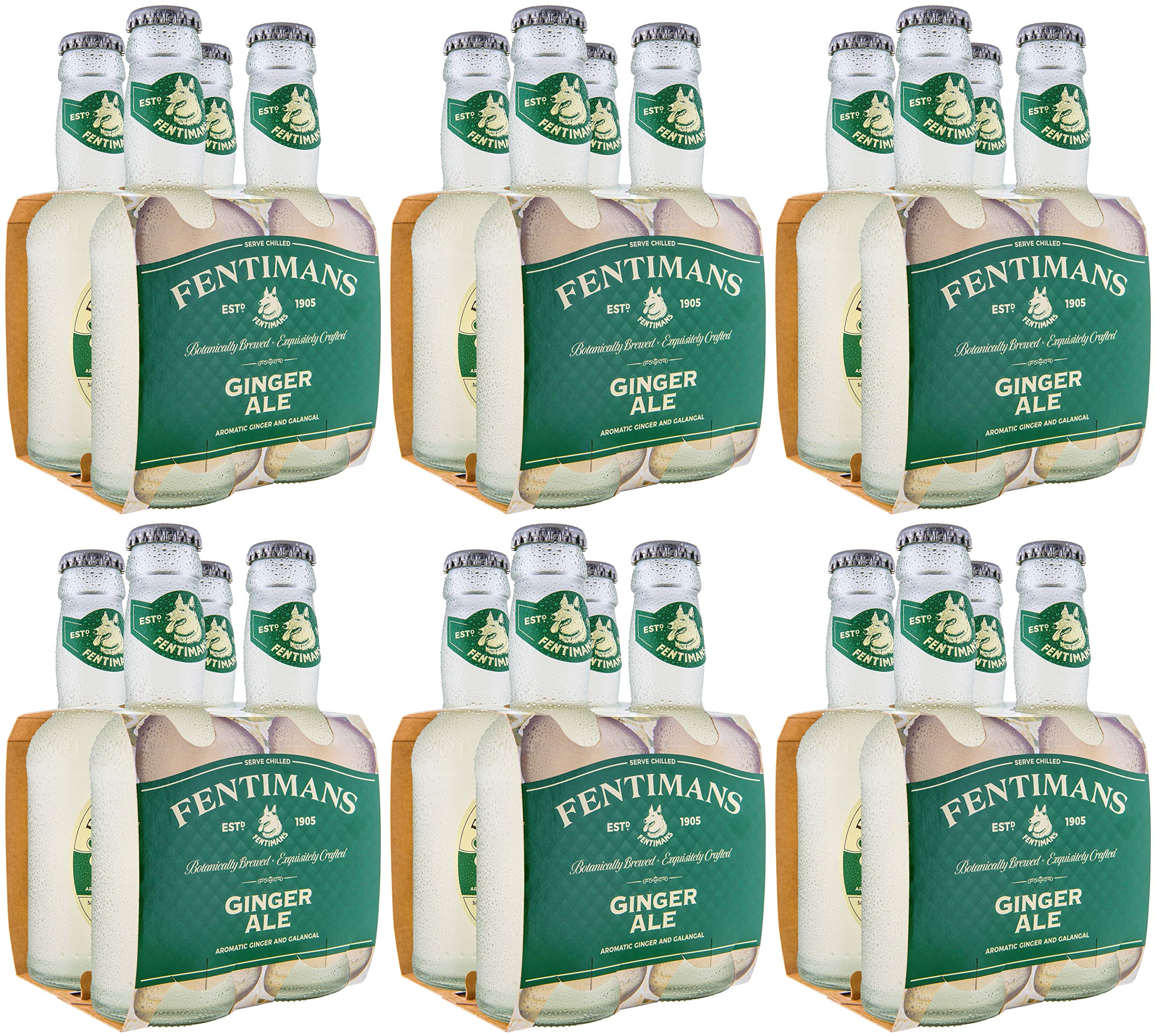Fentimans Ginger Ale 24 x 200ml