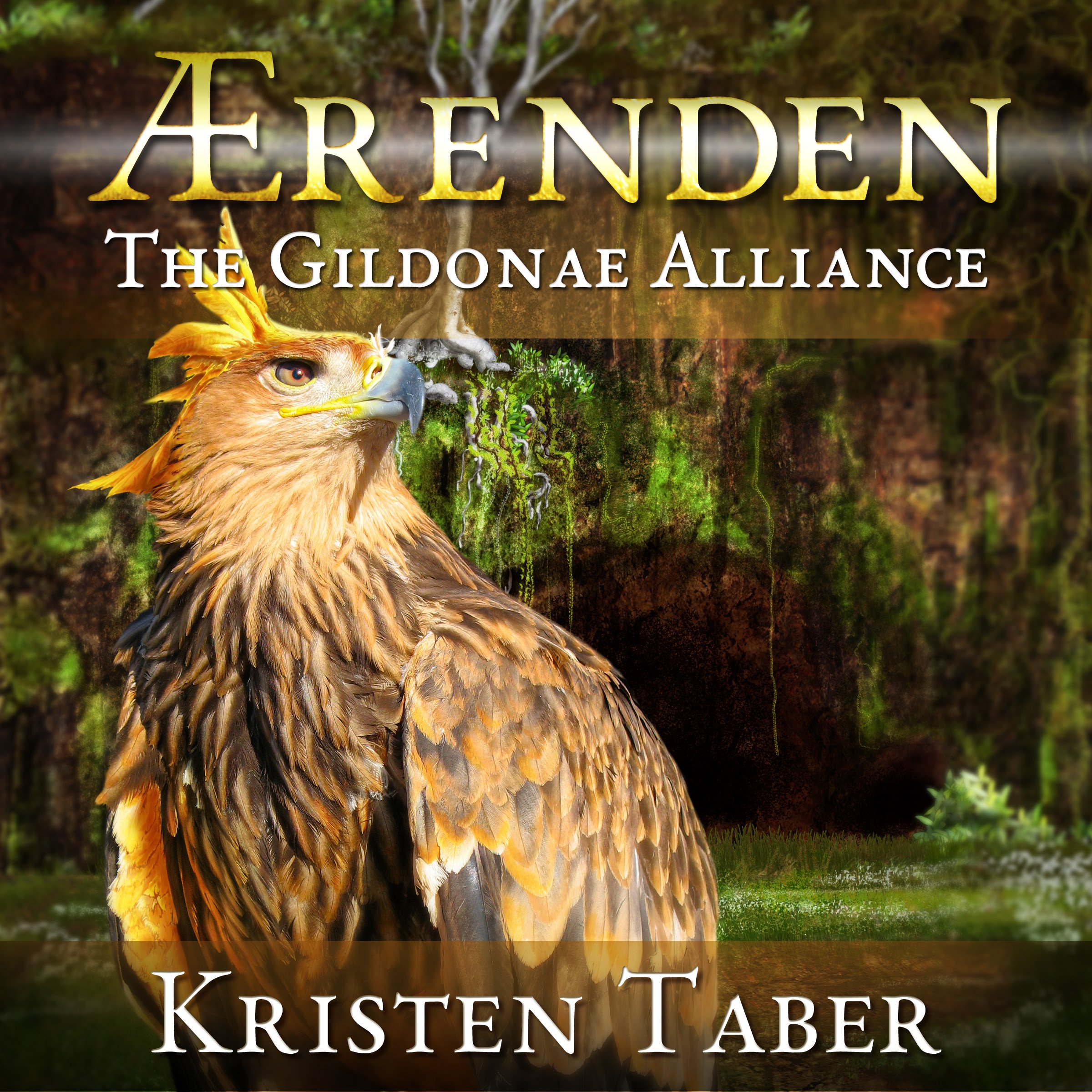 Cover art for The Gildonae Alliance