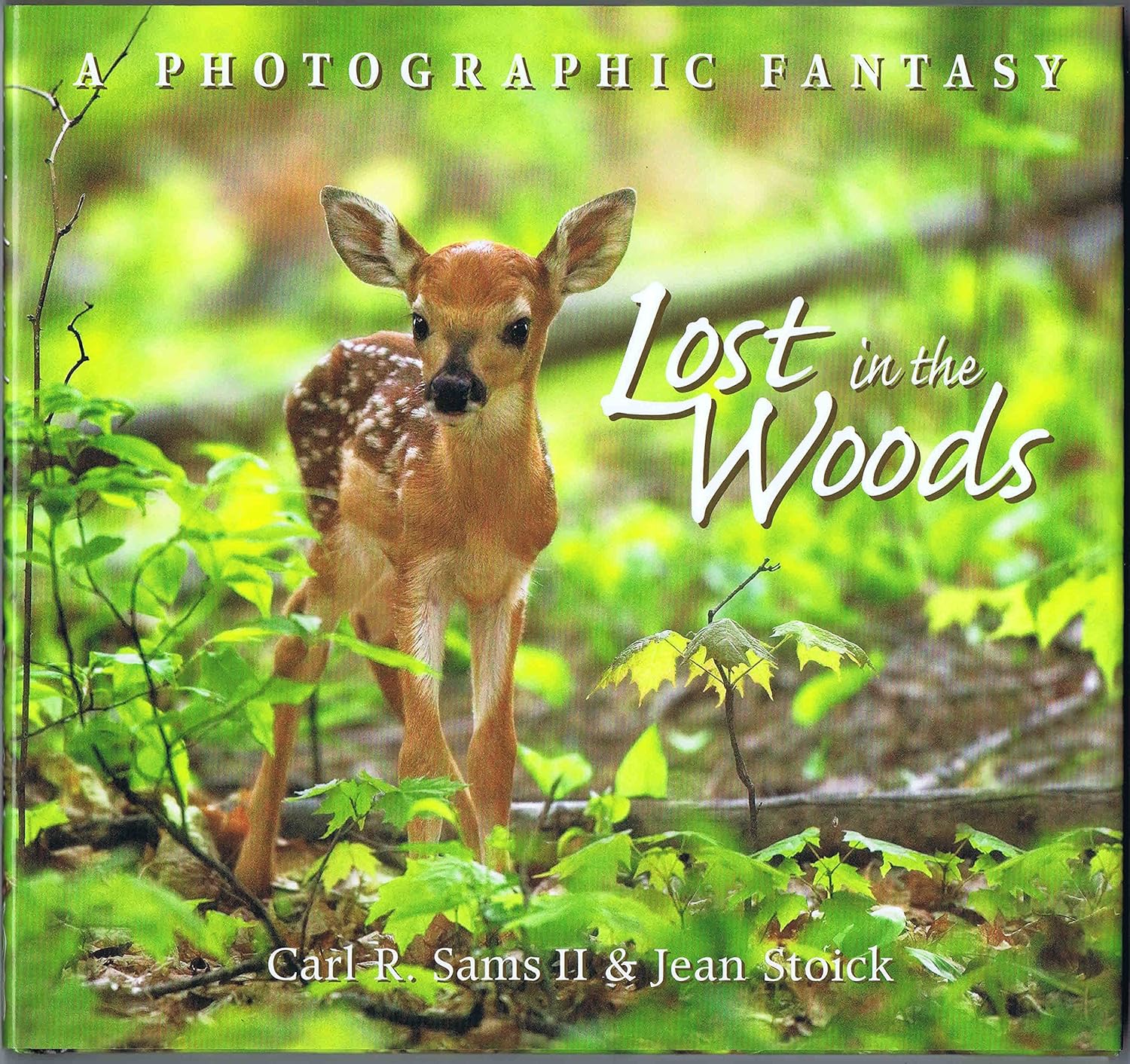 Lost In The Woods: A Photographic Fantasy: Sams, Carl R., Sams, Carl R ...