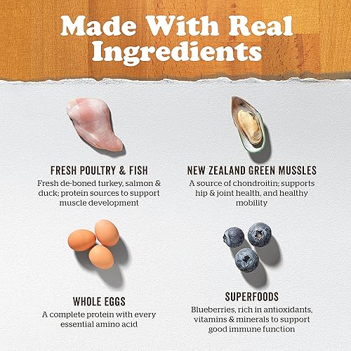 Miniatura 4 de Now Fresh Alimento para perros sin granos, 25 libras, receta de alimento para perros mayores de raza grande, dieta saludable con probióticos, carne