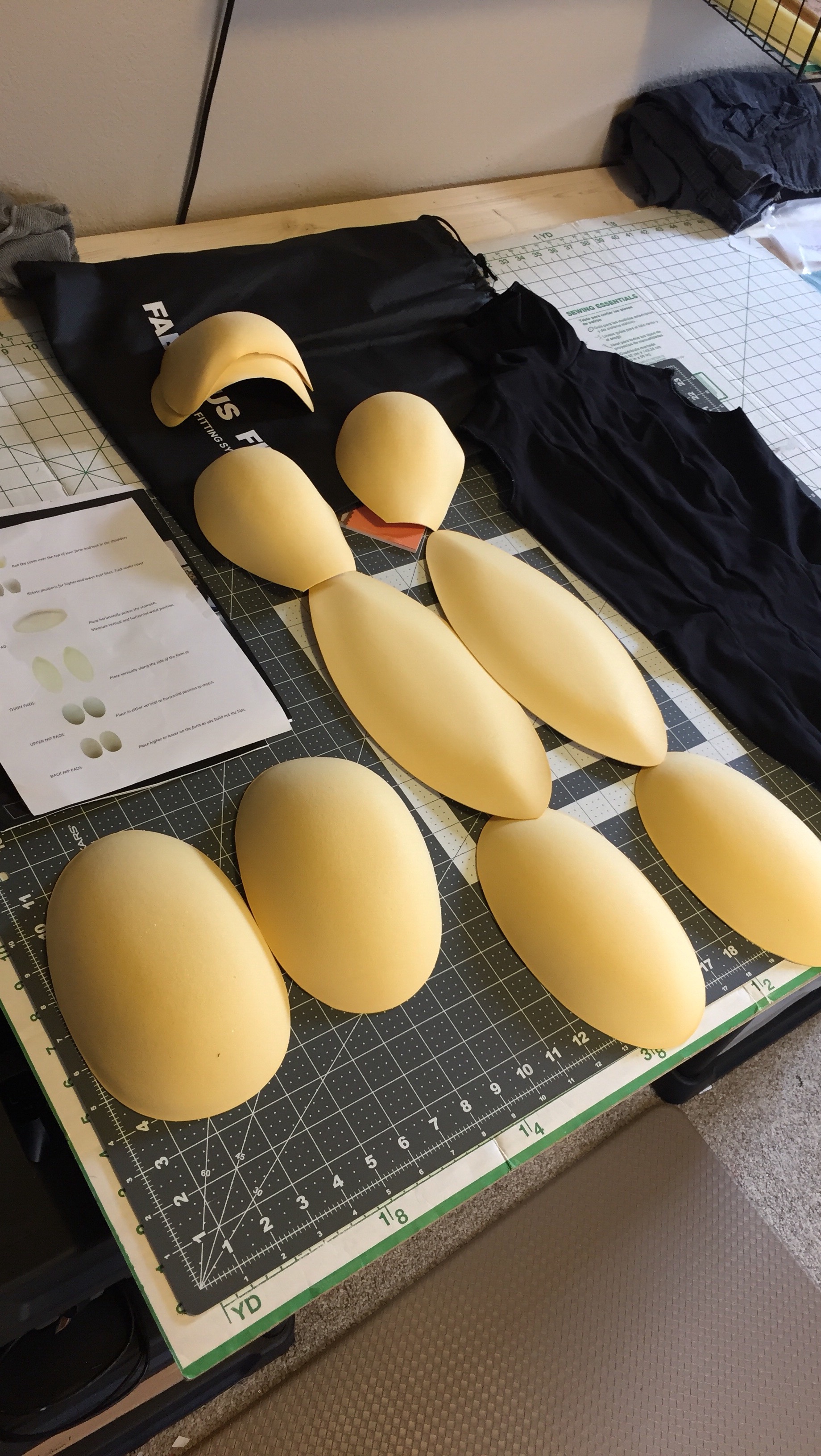 Fabulous Fit Dress Form Fitting System Basics Essential