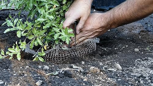 Miniatura 6 de Digger's - Cestas de velocidad de protección de raíces de 1 galón para plantas, control Gopher para una plantación eficiente, paquete de 4