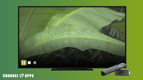 Som da Floresta de Chuva & Natureza: Som Relaxante da Chuva para Dormir e Meditar, Estudo, Sons da F