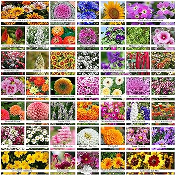 ONLY FOR ORGANIC 45 Variety Of Flower Seeds With Instruction Manual - image, photos