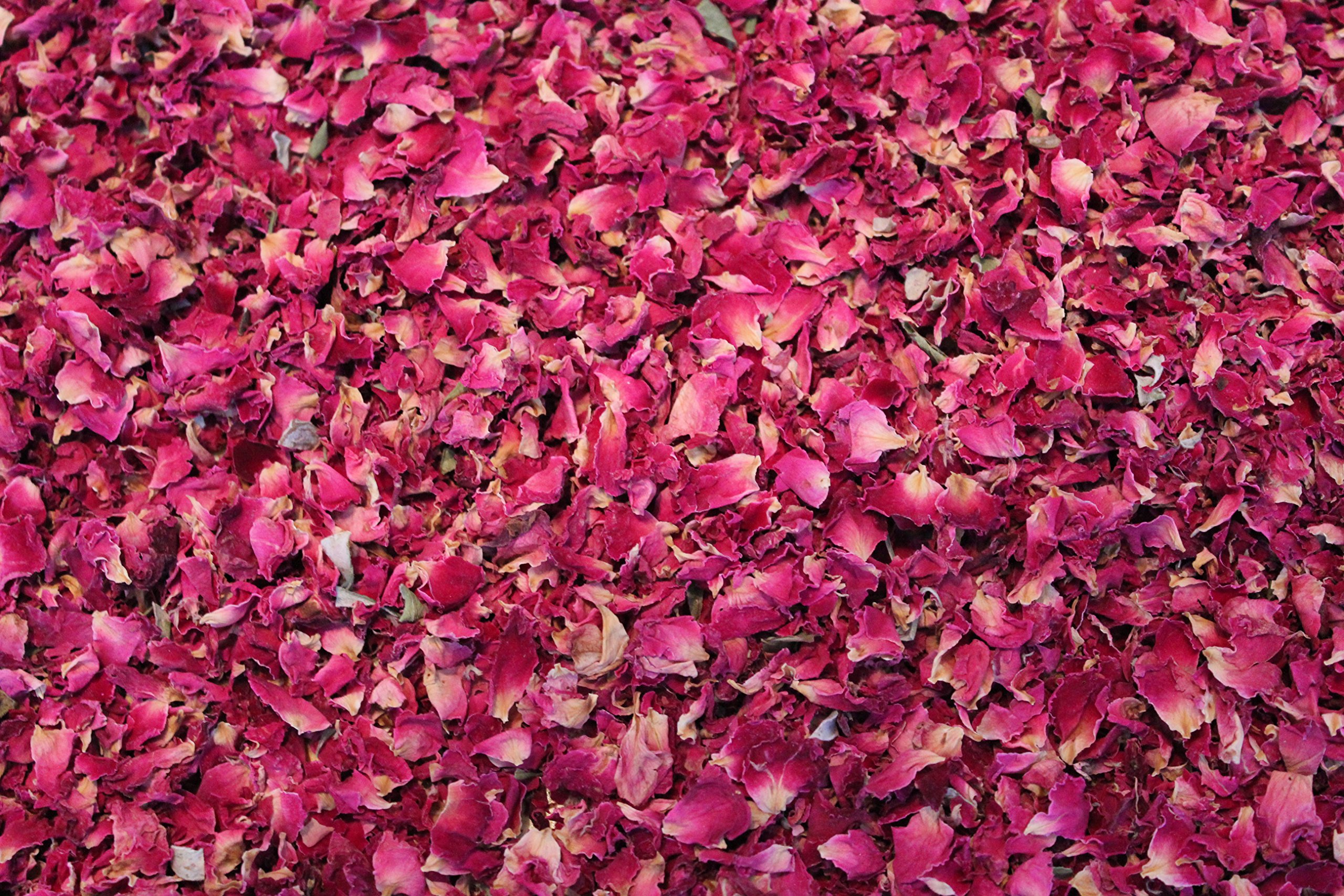 1000Kräuter Rosenblüten rot Rosenblütenblätter Essblüten Teeblüten Rosenblütentee Dekoblüten Hochzeit essbare Blüten (2000g)
