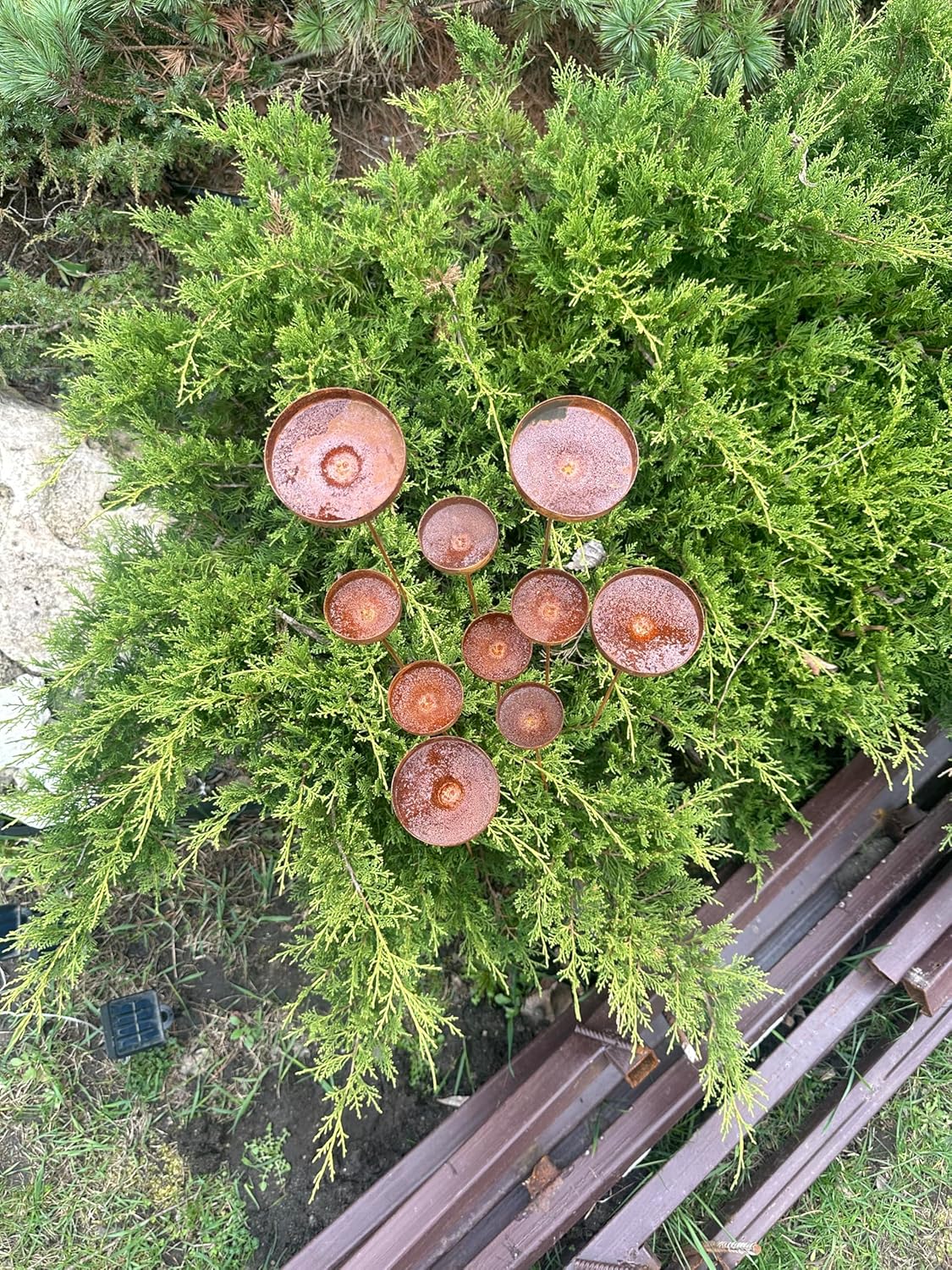 Rain Catcher Outdoor Garden Decor, Rusty Flower Garden Stakes, Yard Art, Bee Feeder, Rustic Metal Bowl for Birds and Pollinators