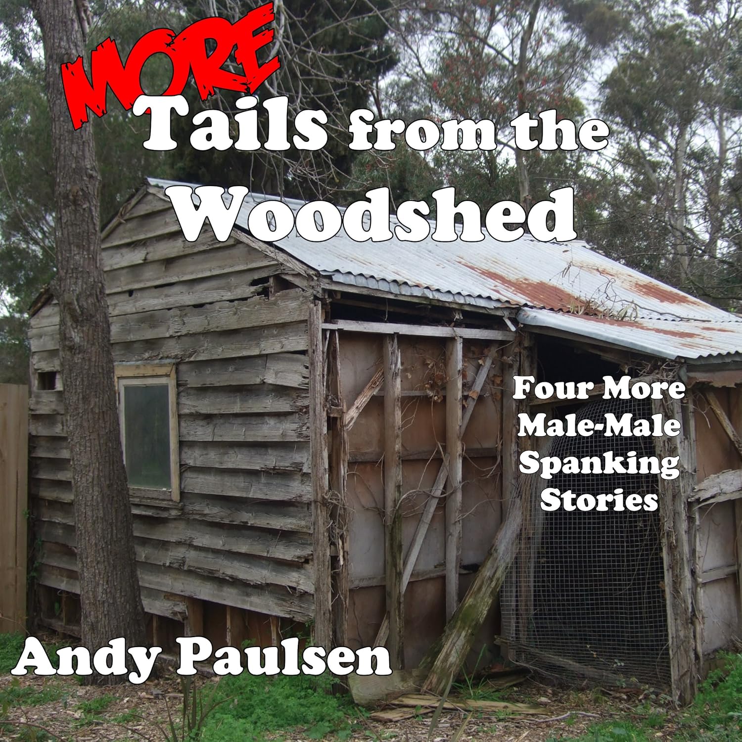 More Tails from the Woodshed Four More MaleMale Spanking Stories (Audible Audio