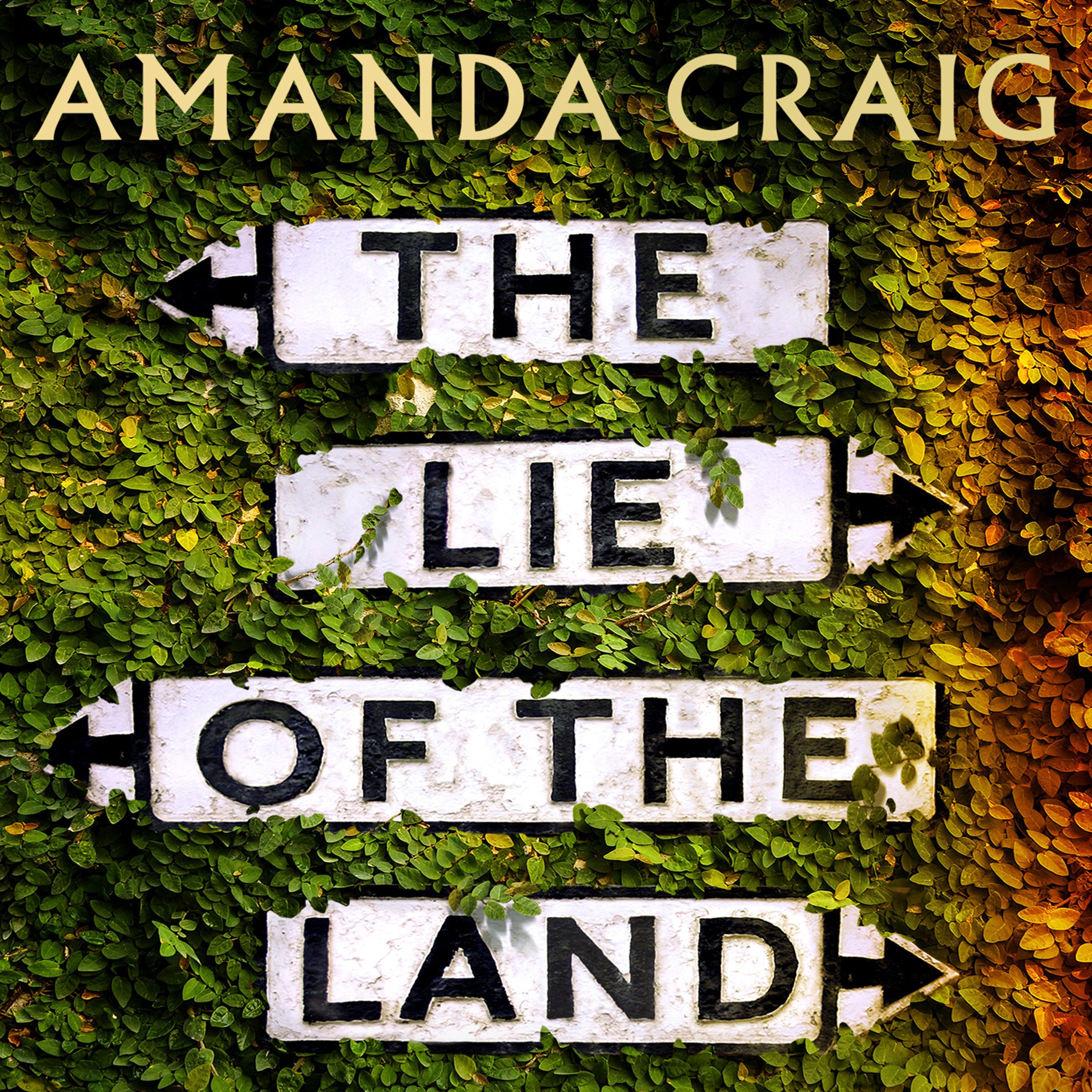 Cover art for The Lie of the Land